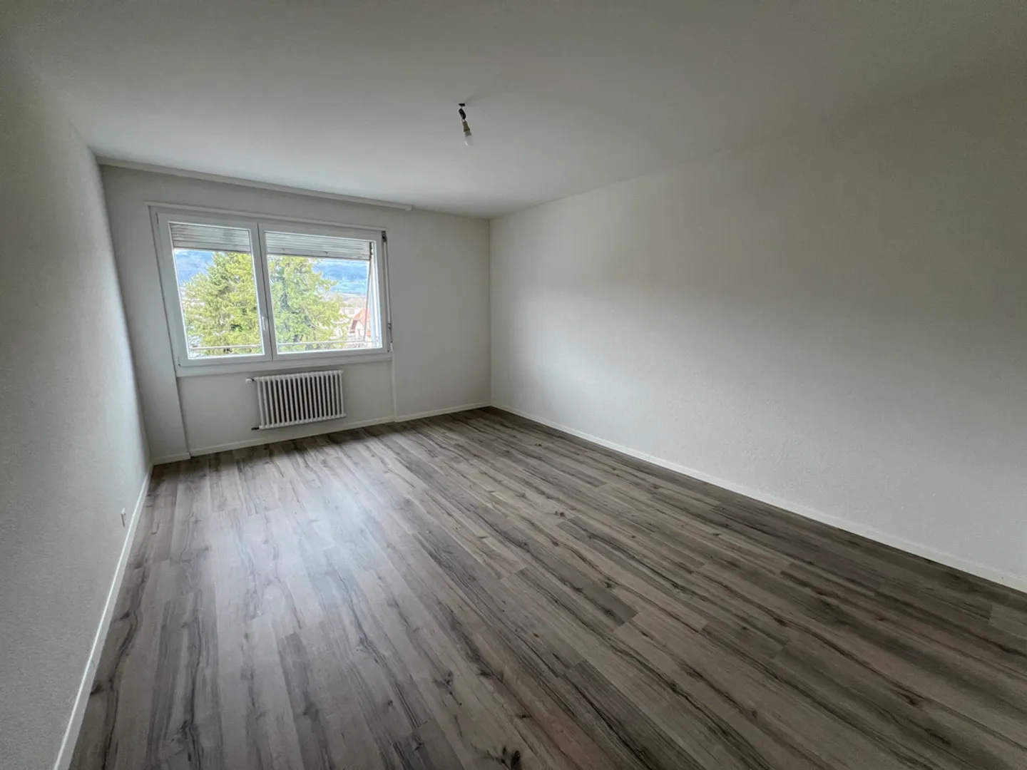 3.5 Room Apartment - Photo 4 of 7