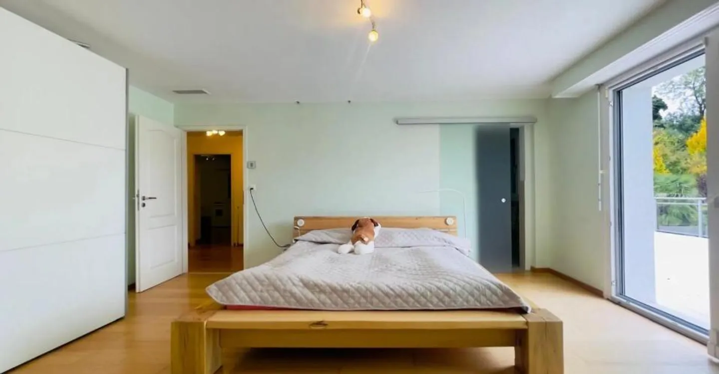 Villa individuale contemporanea su un bel e ampio terreno - Foto 11 di 11