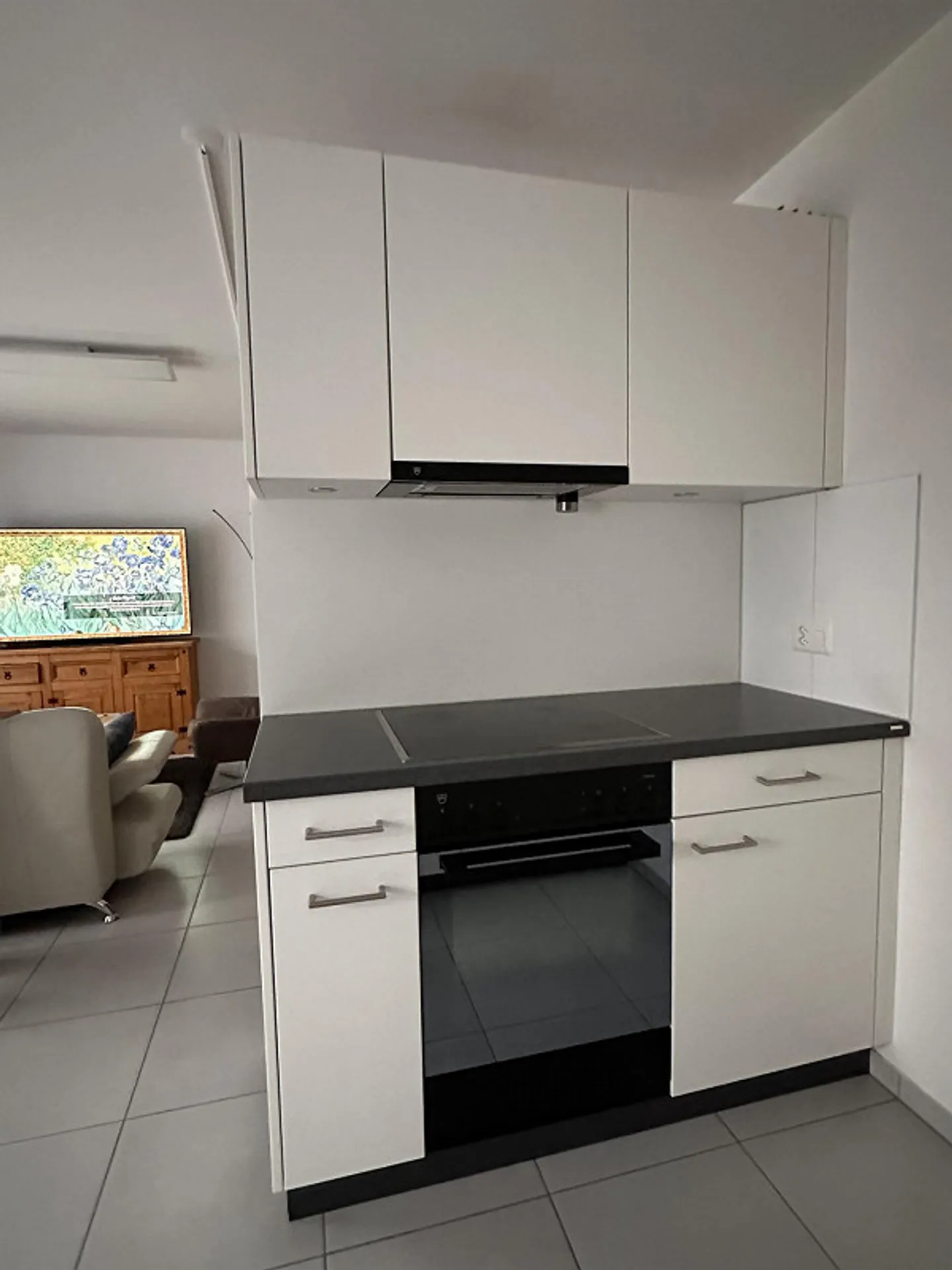 Cercasi nuovo inquilino per spazioso appartamento di 1,5 stanze con giardino - Foto 5 di 16