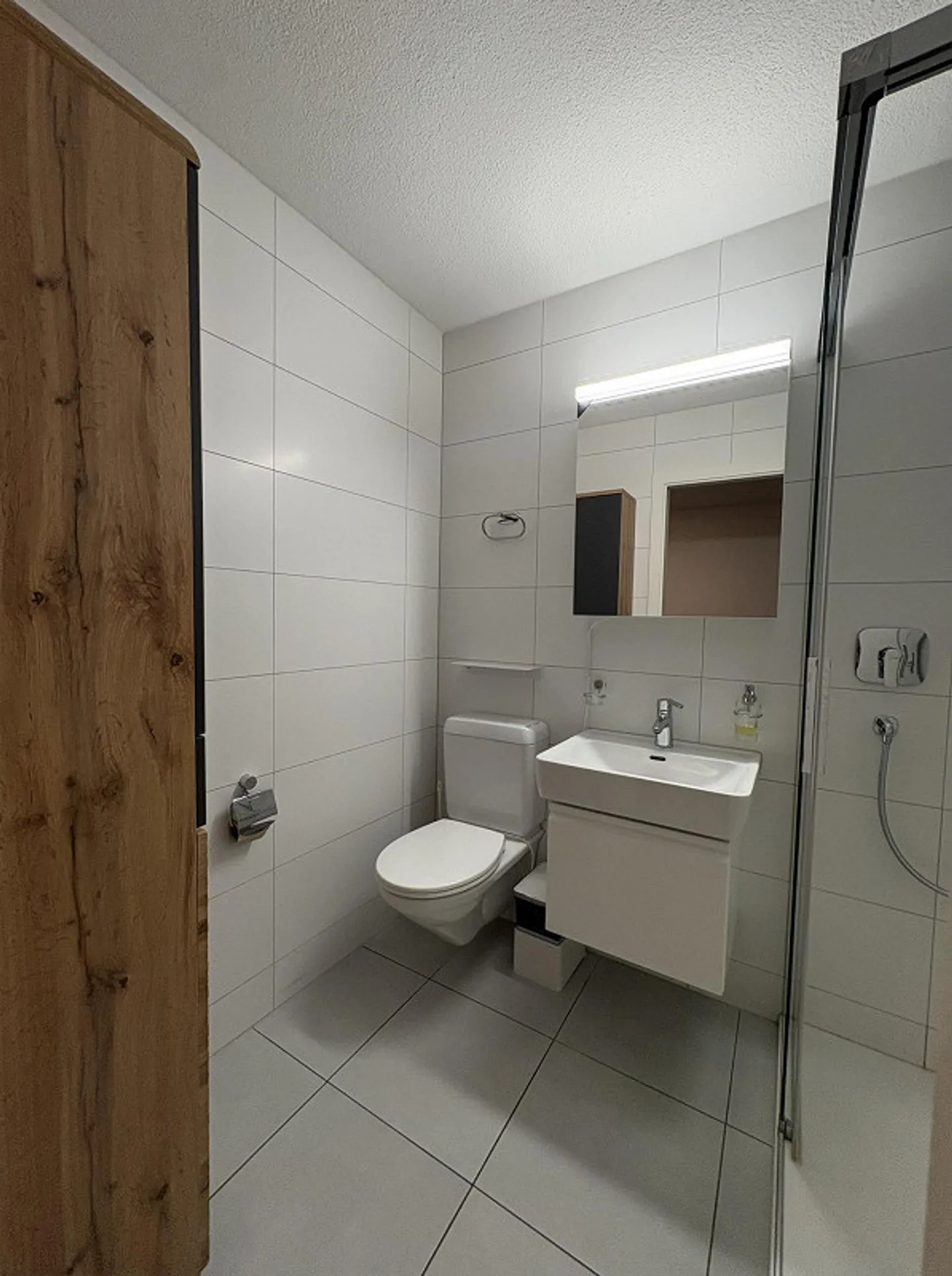 Cercasi nuovo inquilino per spazioso appartamento di 1,5 stanze con giardino - Foto 14 di 16