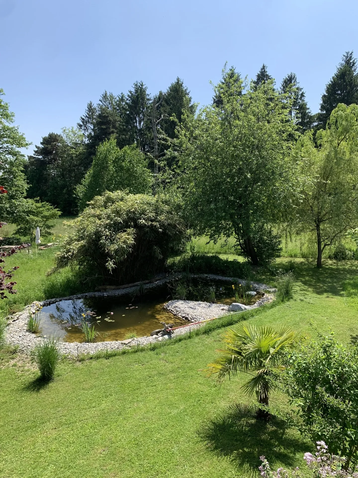 3½ ROOM APARTMENT IN IPSACH (BE), FURNISHED, TEMPORARY - Photo 9 of 9