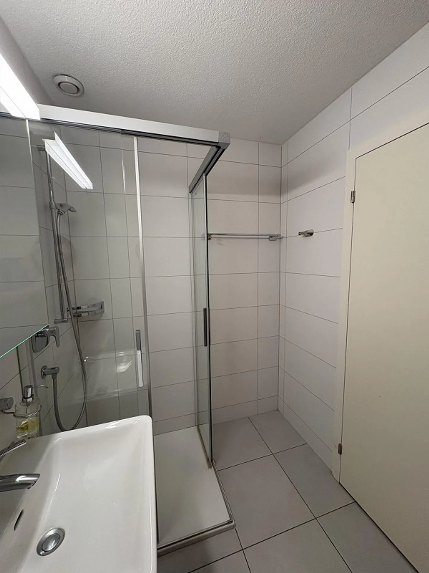 Cercasi nuovo inquilino per spazioso appartamento di 1,5 stanze con giardino - Foto 16 di 16