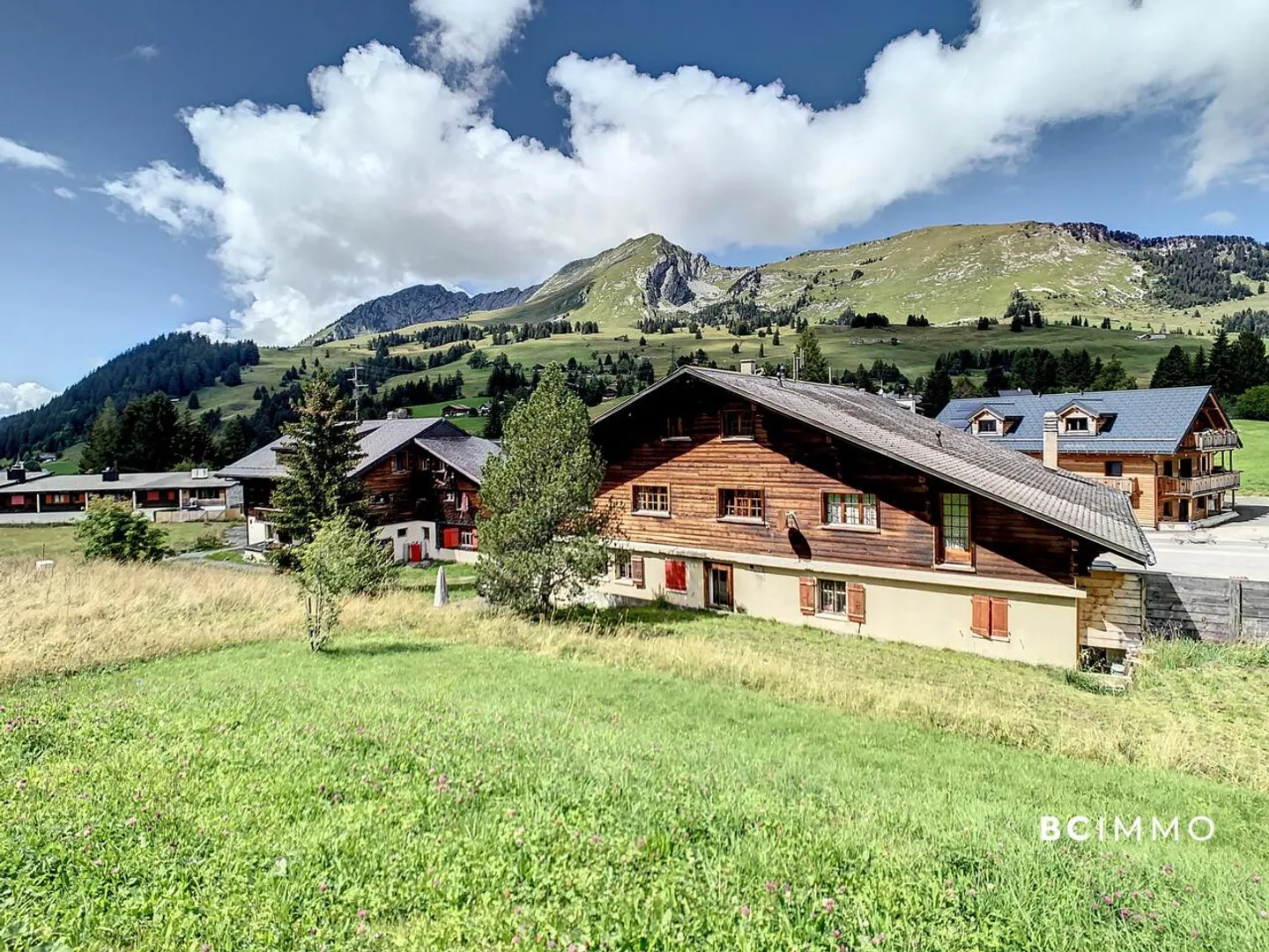 Chalet composed of two apartments and a business - Photo 1 of 14