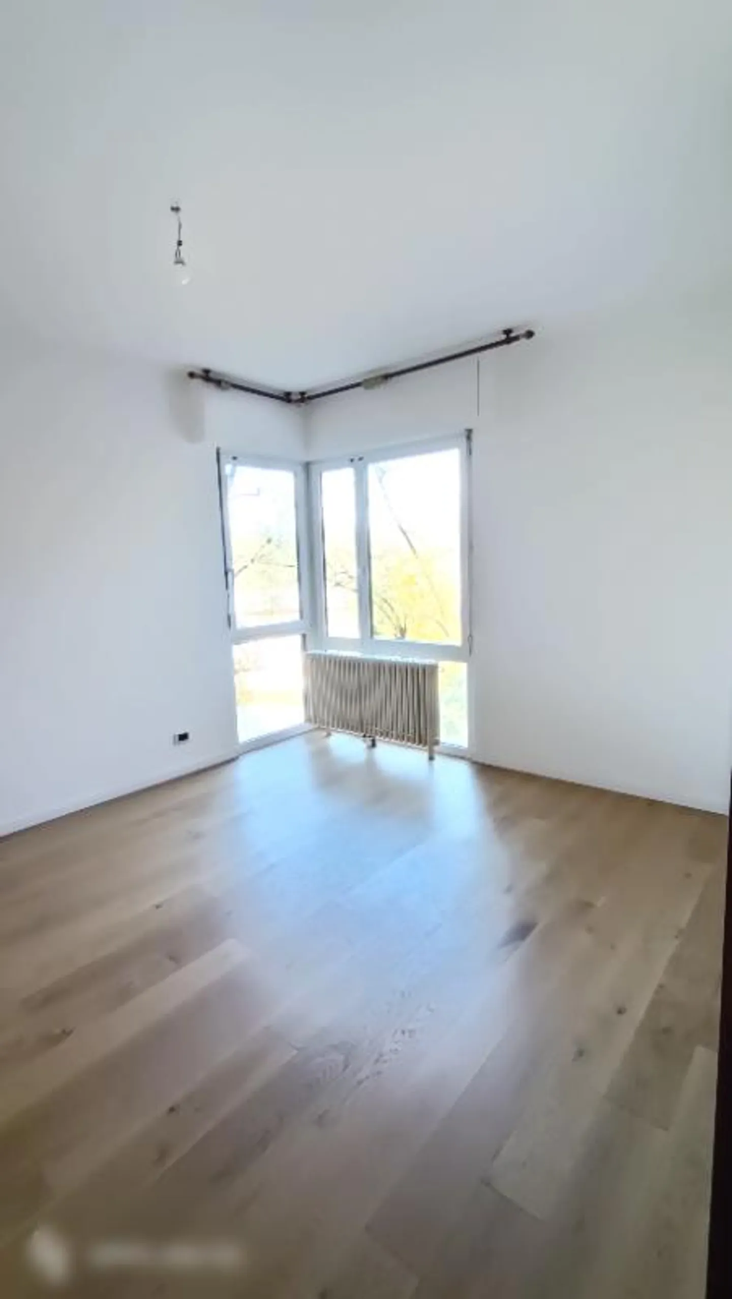 3.5 Room Apartment - Photo 2 of 5