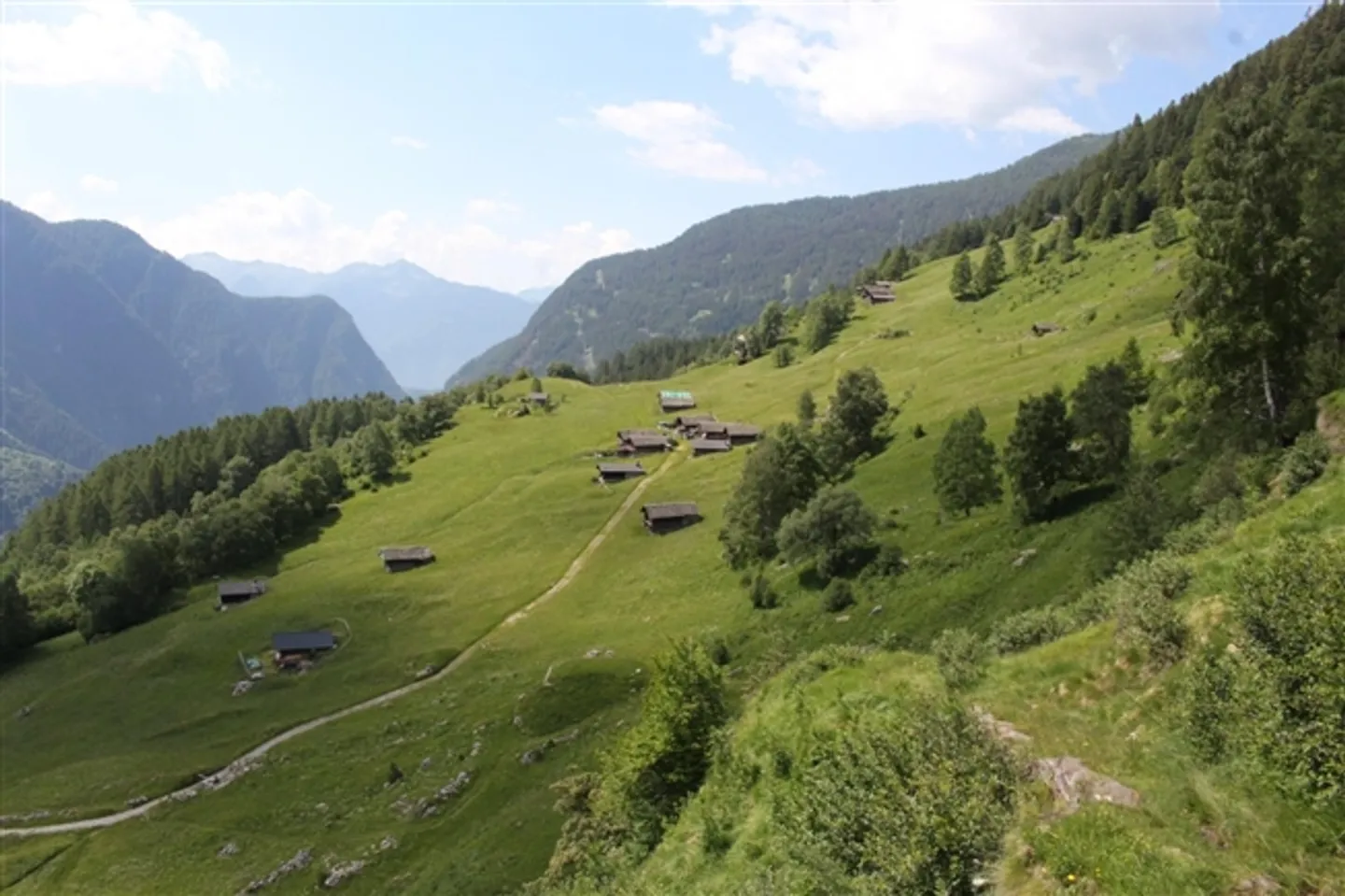 Rustico da riattare con prato molto tranquilla e soleggiata con bella vista - Foto 6 di 7