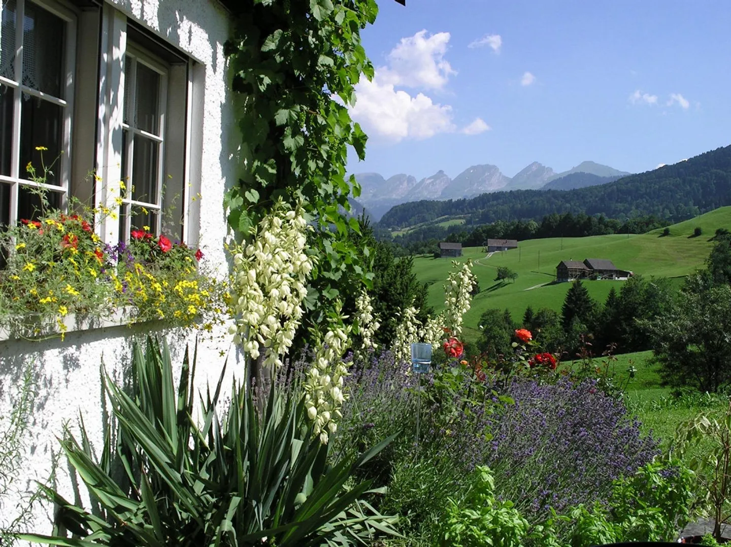 Maison individuelle exclusive de 8 1/2 pièces avec charme et vue panoramique - Photo 2 sur 10