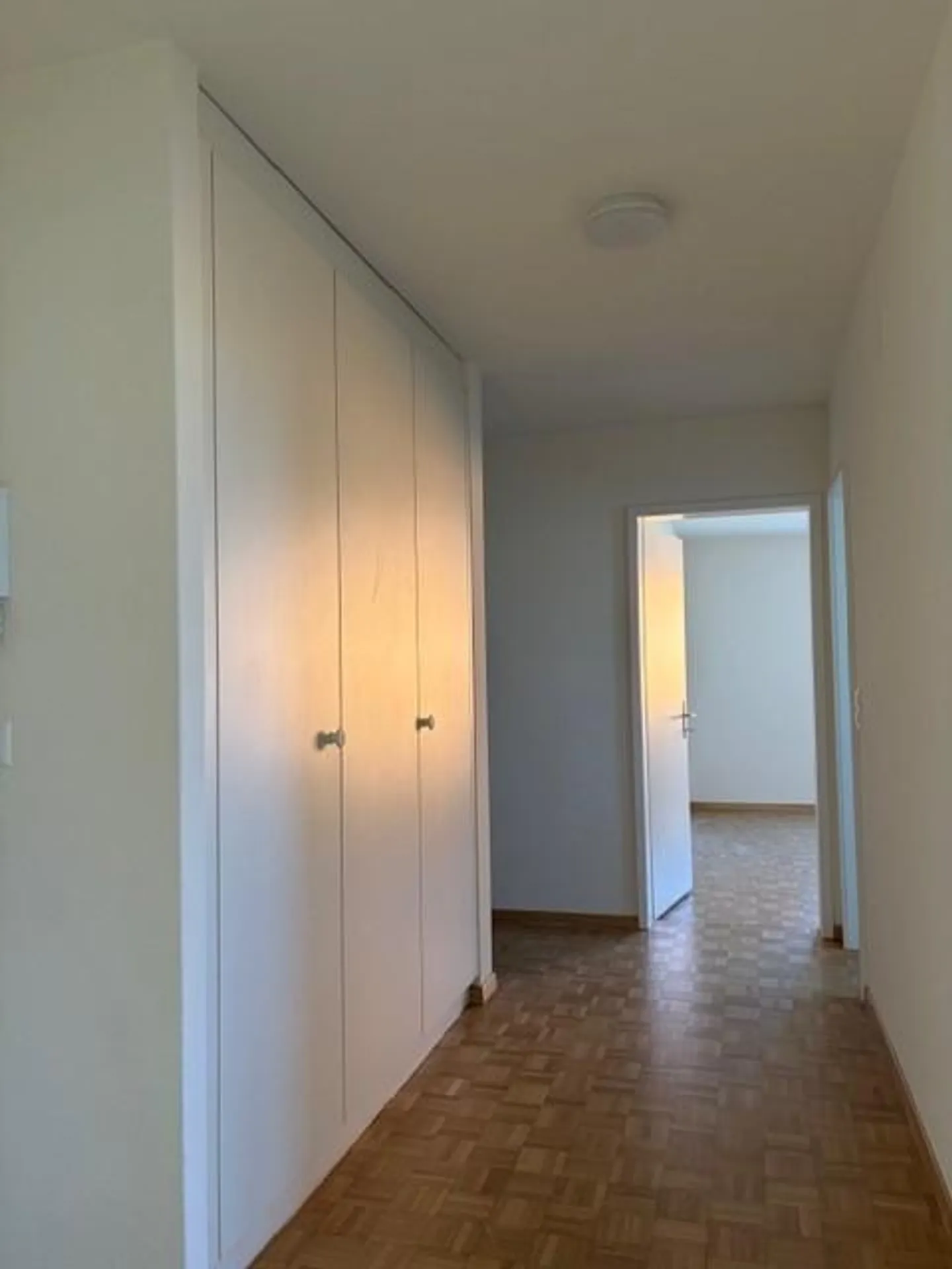 Attractive Family Apartment with Large Terrace in Lucerne - Photo 7 of 11