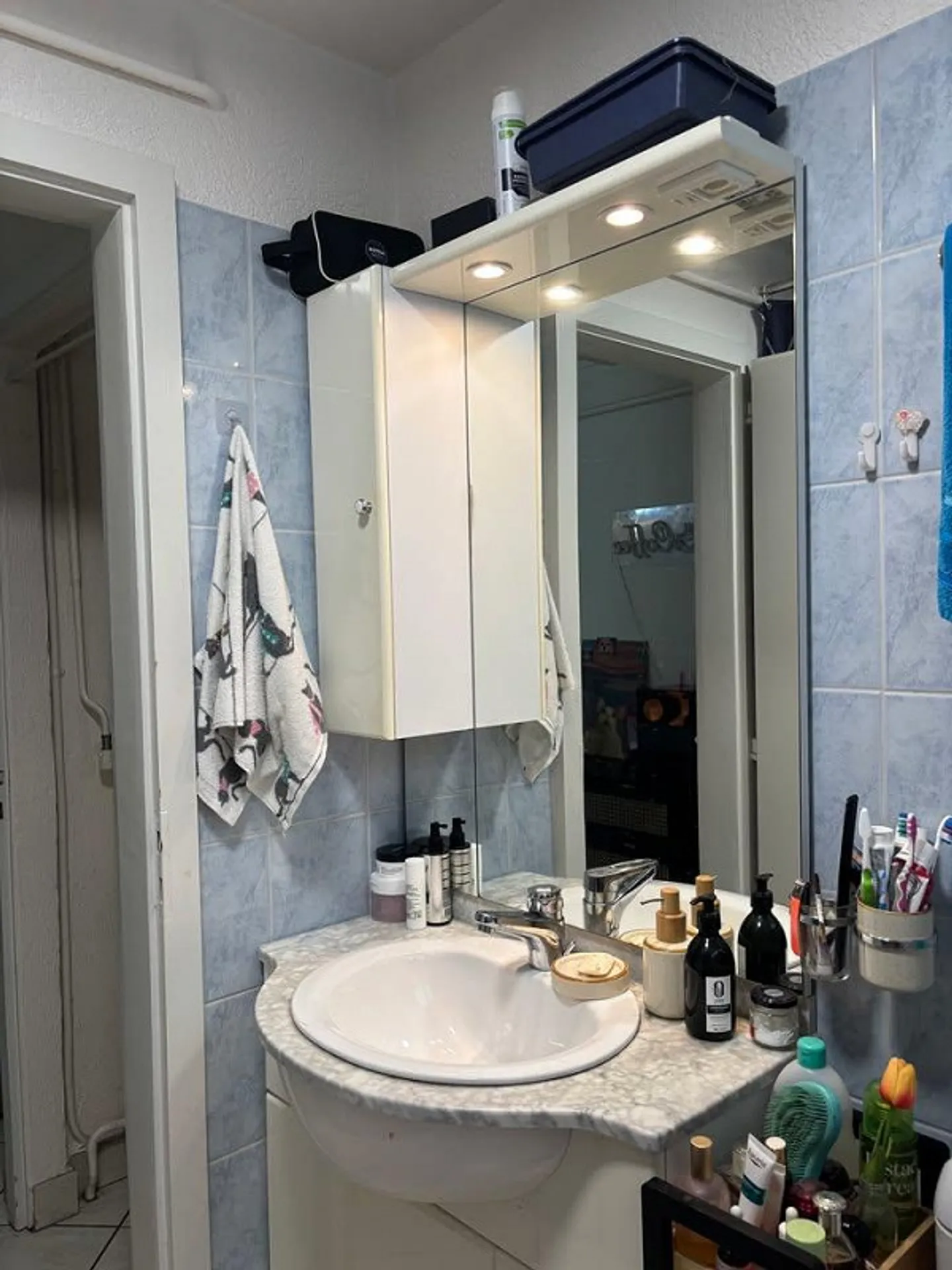 Spacious 2-room apartment with terrace in La Coudre, Neuchâtel - Photo 5 of 20