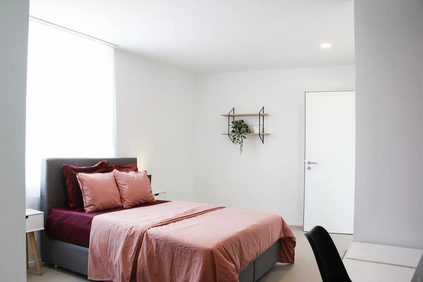 Coliving at Lily: un habitat moderno vicino a Losanna, all'EPFL e al - Foto 6 di 30