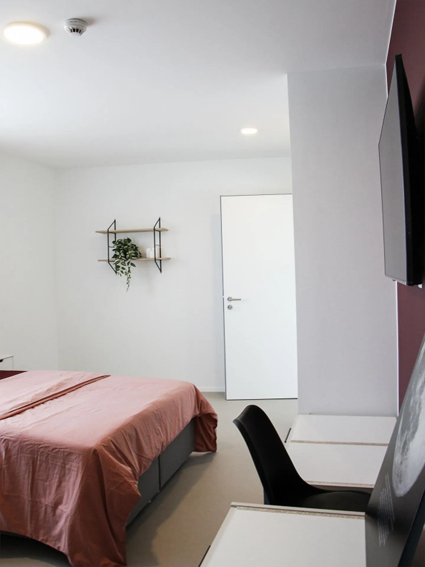 Coliving at Lily: un habitat moderno vicino a Losanna, all'EPFL e al - Foto 7 di 30
