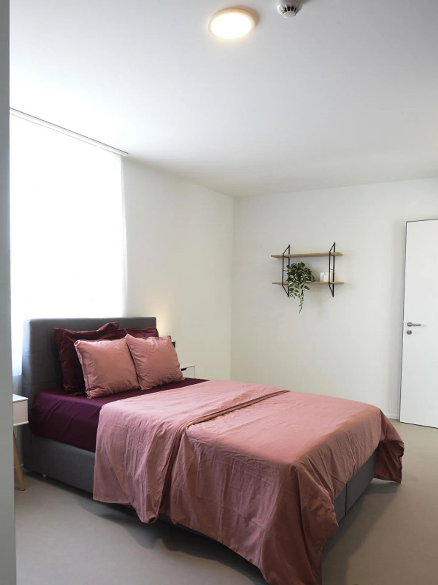 Coliving at Lily: un habitat moderno vicino a Losanna, all'EPFL e al - Foto 13 di 30