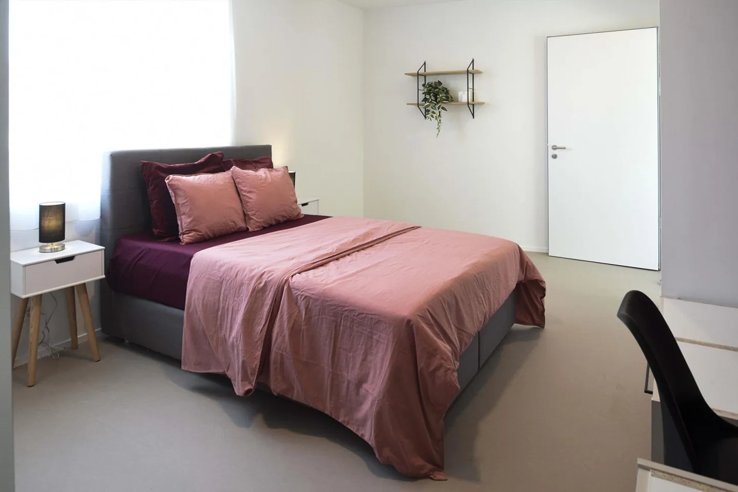 Coliving at Lily: un habitat moderno vicino a Losanna, all'EPFL e al - Foto 14 di 30