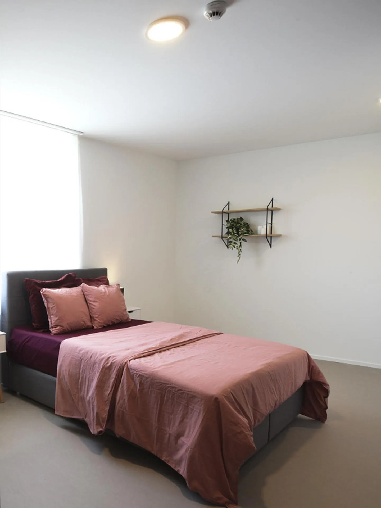 Coliving at Lily: un habitat moderno vicino a Losanna, all'EPFL e al - Foto 18 di 30