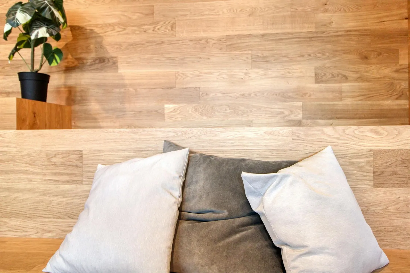 Coliving at Lily: un habitat moderno vicino a Losanna, all'EPFL e al - Foto 22 di 30
