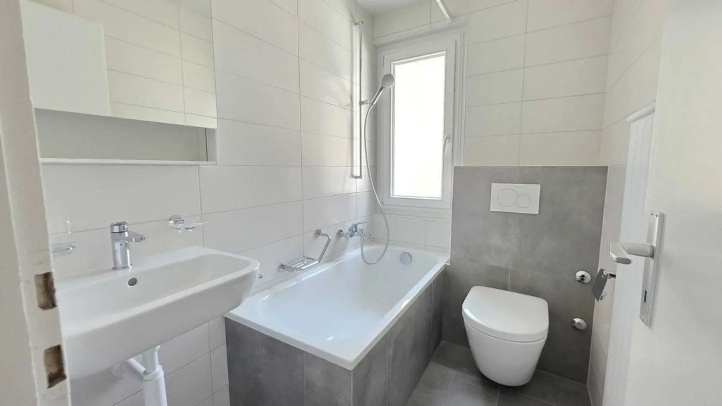 Beautiful renovated apartment - Photo 10 of 11