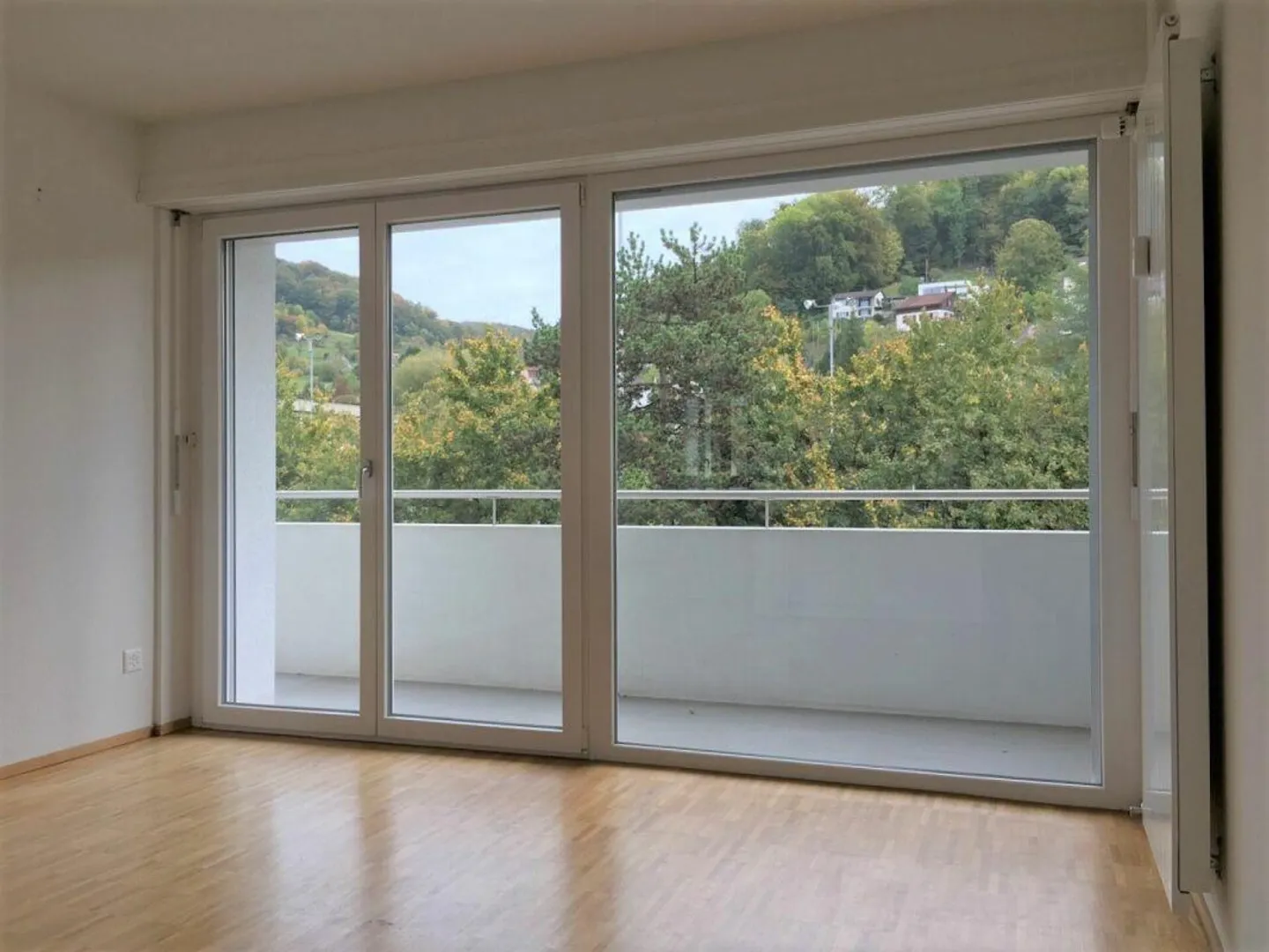 Charming Apartment in Liestal - Photo 3 of 12