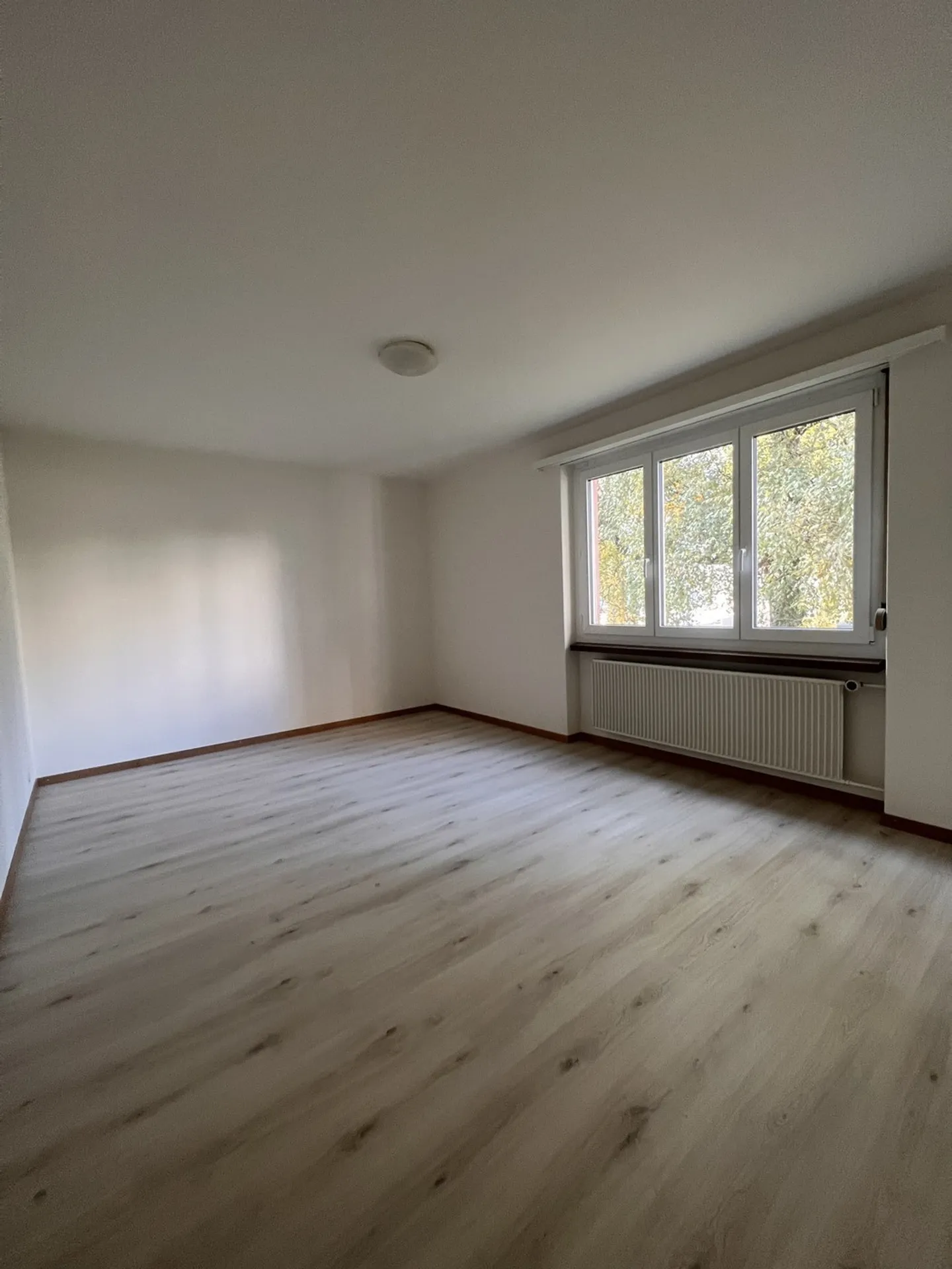 Helle und gemütliche Wohnung in ruhigem Quartier - Photo 4 of 9