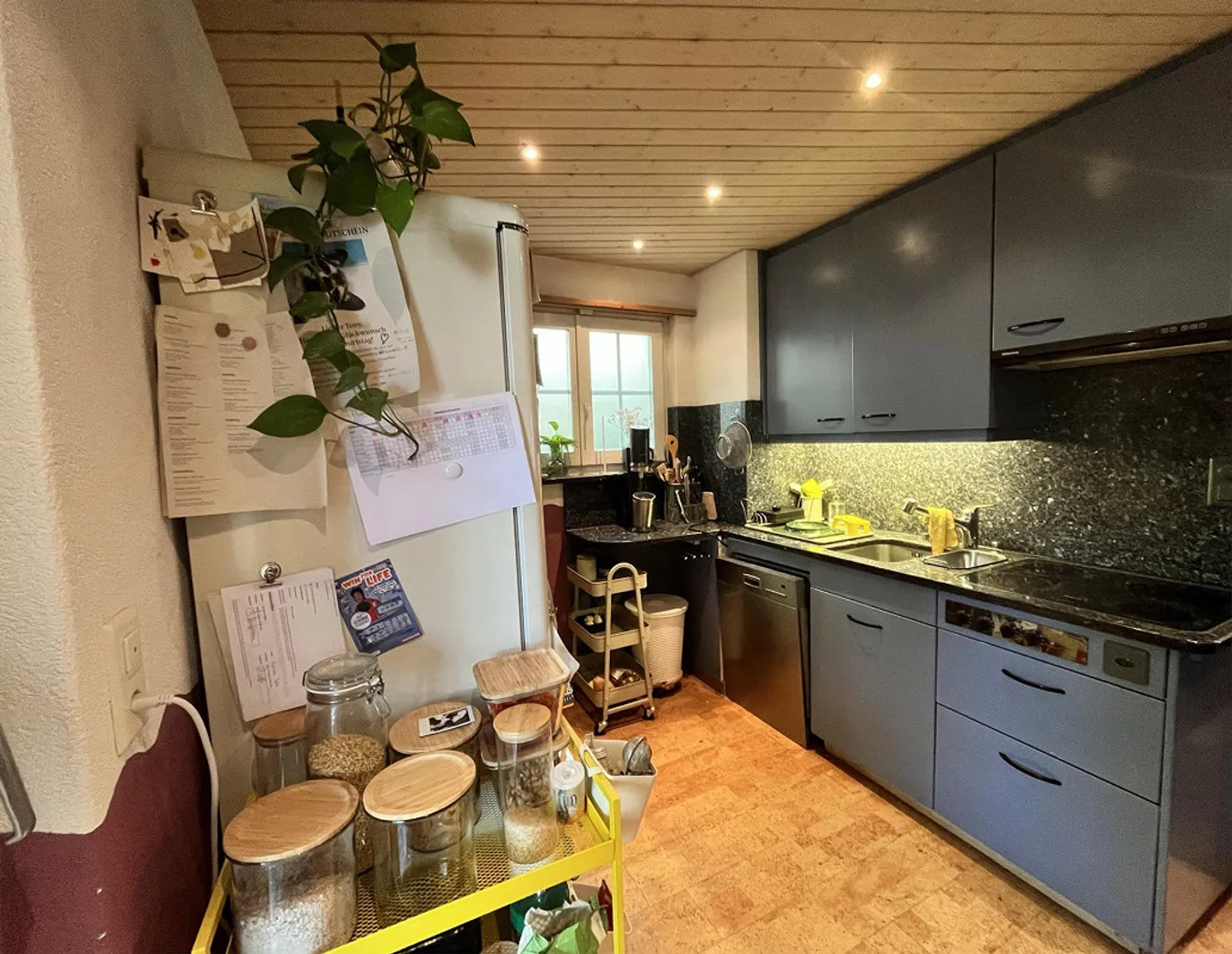 Cercasi inquilino – Casa unifamiliare di 5,5 stanze con grande giardino naturale - Foto 4 di 6