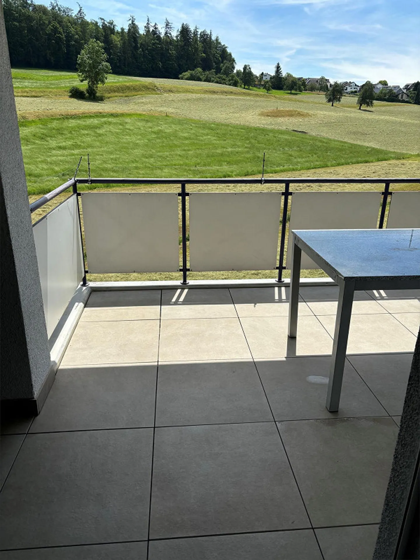 Grosszügige, helle  4 1/2 Zimmerwohnung mit Sicht ins Grüne - Foto 8 von 10