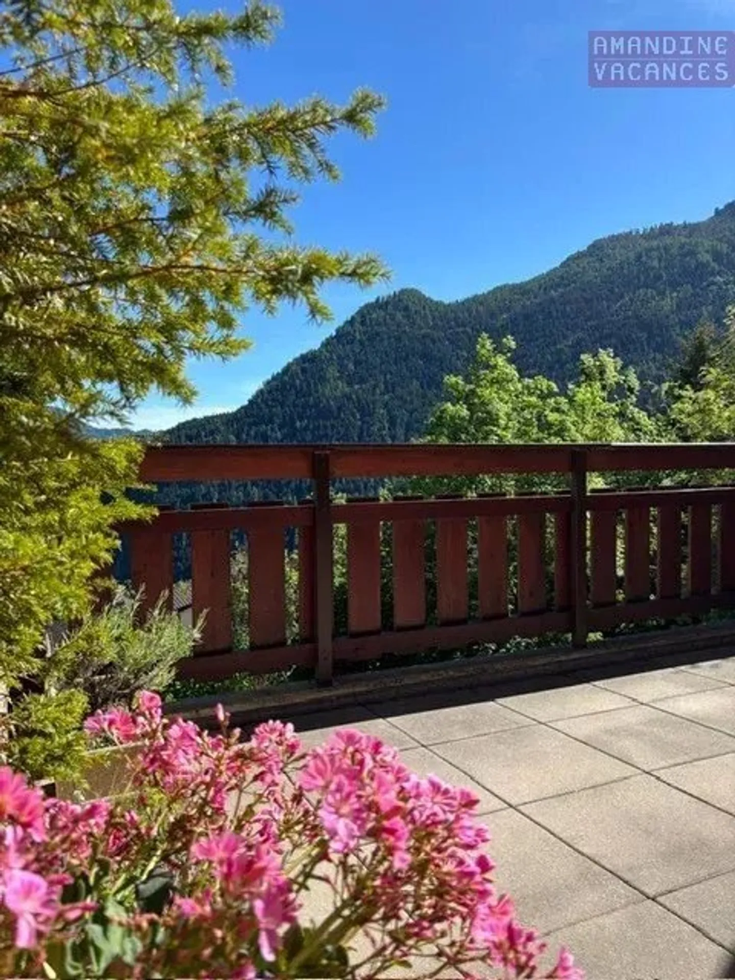 Splendido appartamento di 2.5 locali con terrazza - Foto 12 di 13