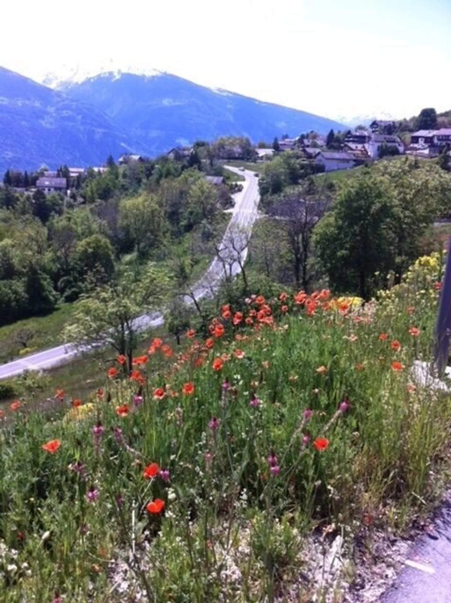 Terrain constructible à vendre - Photo 3 sur 3