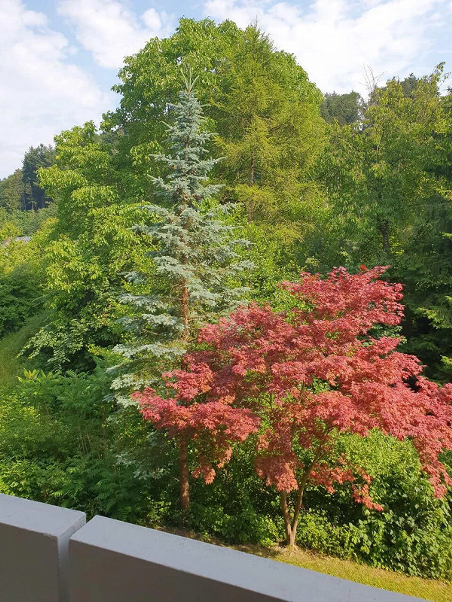 Sich wohlfühlen auf 43 m2 - Foto 8 von 8