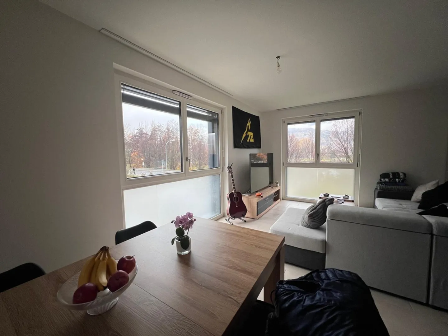 Appartamento 2.5 locali - Foto 2 di 6