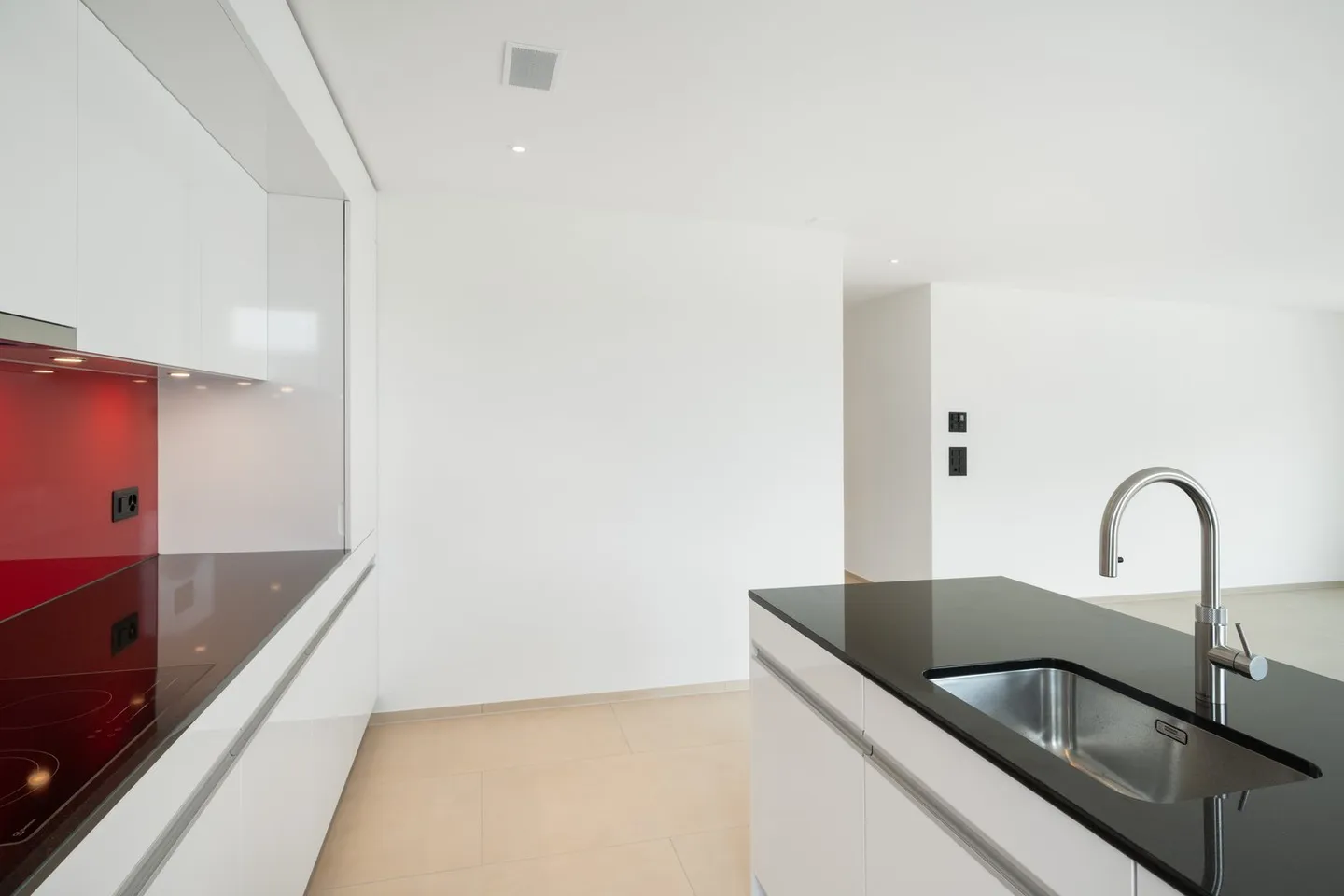 First Rental - Exclusive Penthouse Apartment - Photo 3 of 11