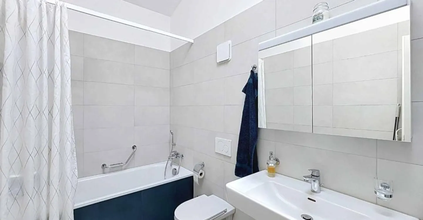 Penthouse apartment with 4.5 rooms between light and serenity - Photo 5 of 10
