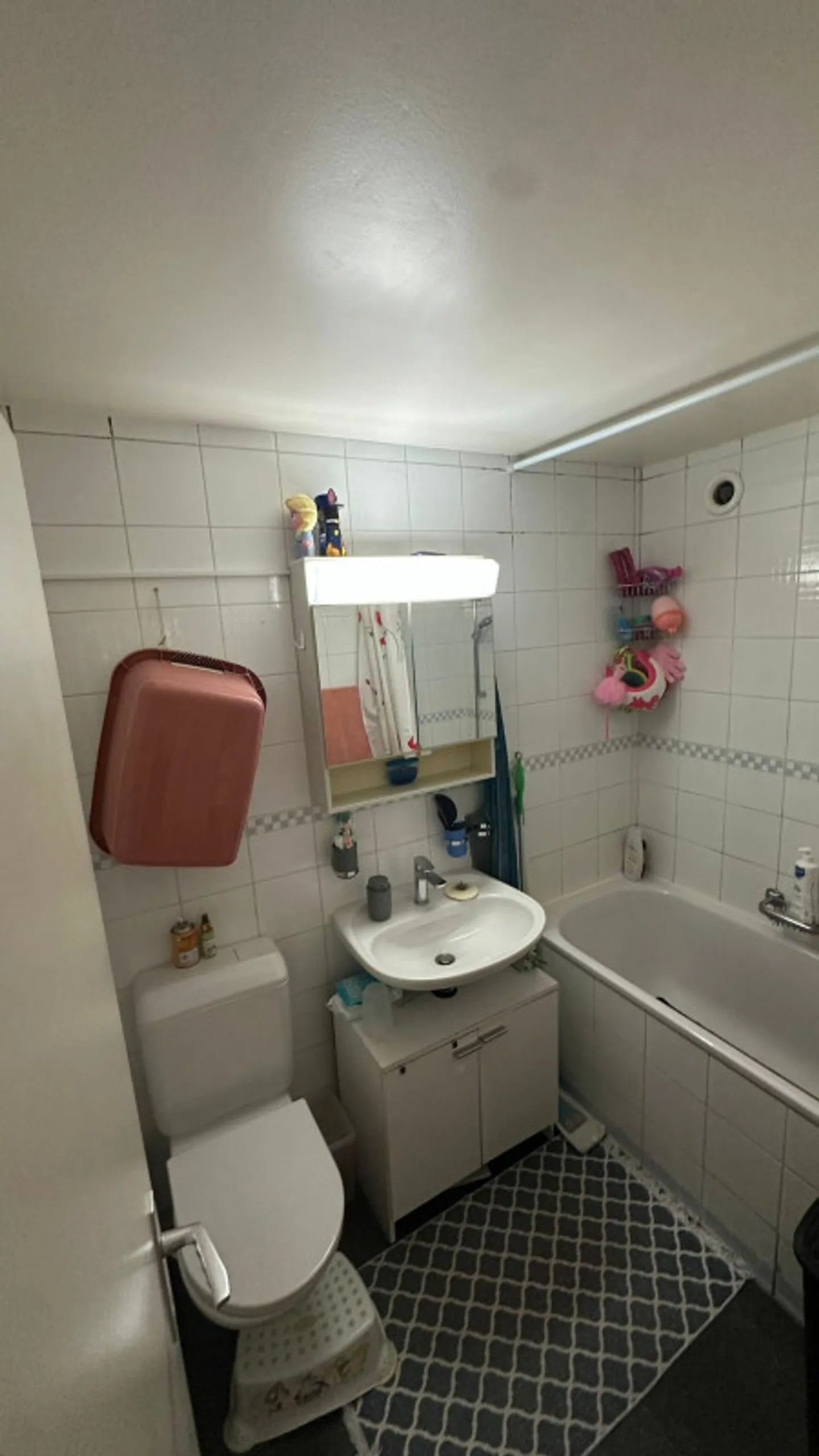 Appartamento 6 locali situato a Petit Lancy - Foto 11 di 11