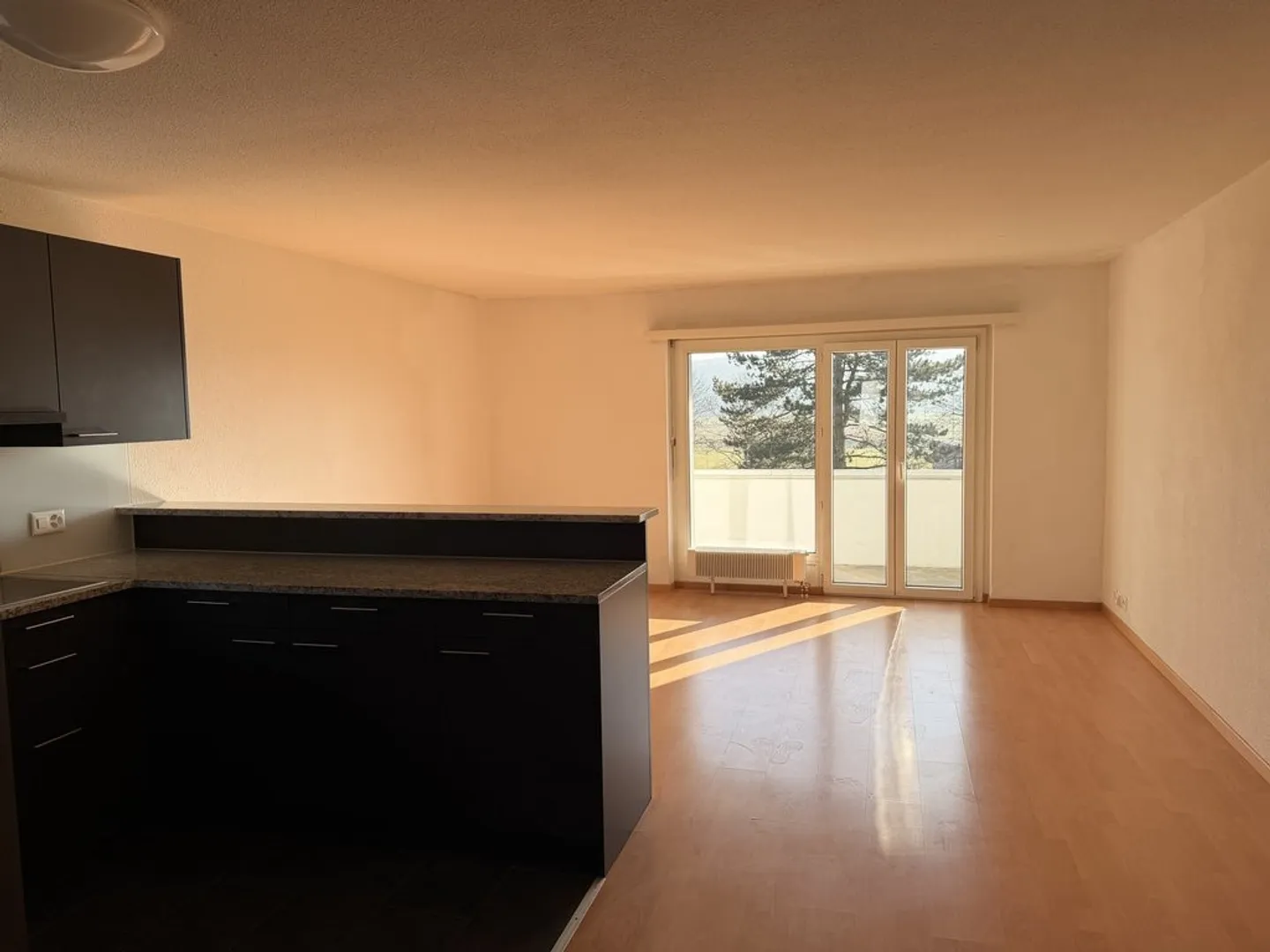 Bright 4.5-room apartment with balcony in Solothurn - Photo 3 of 12