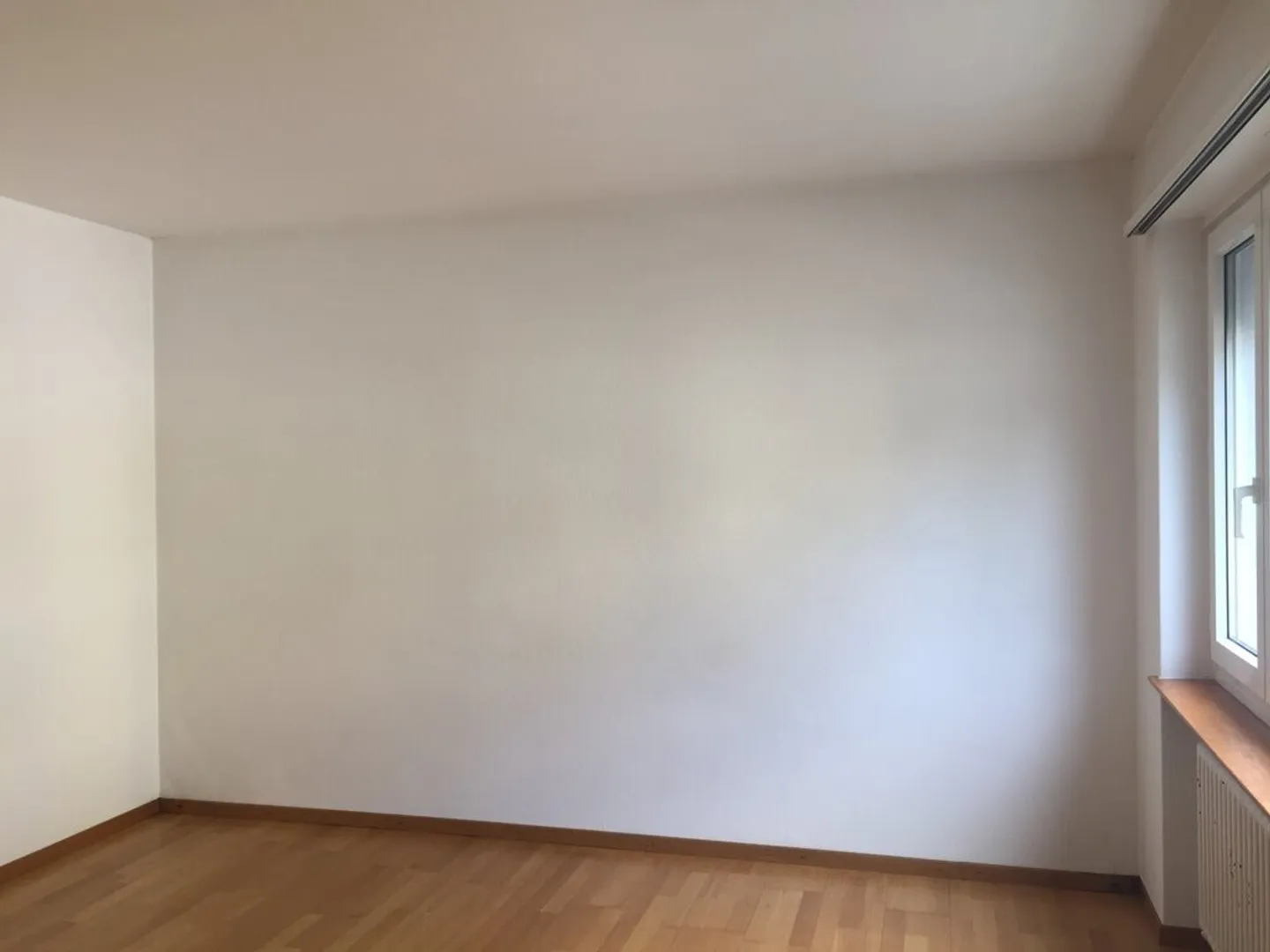 Stiamo cercando proprio te - Foto 3 di 7