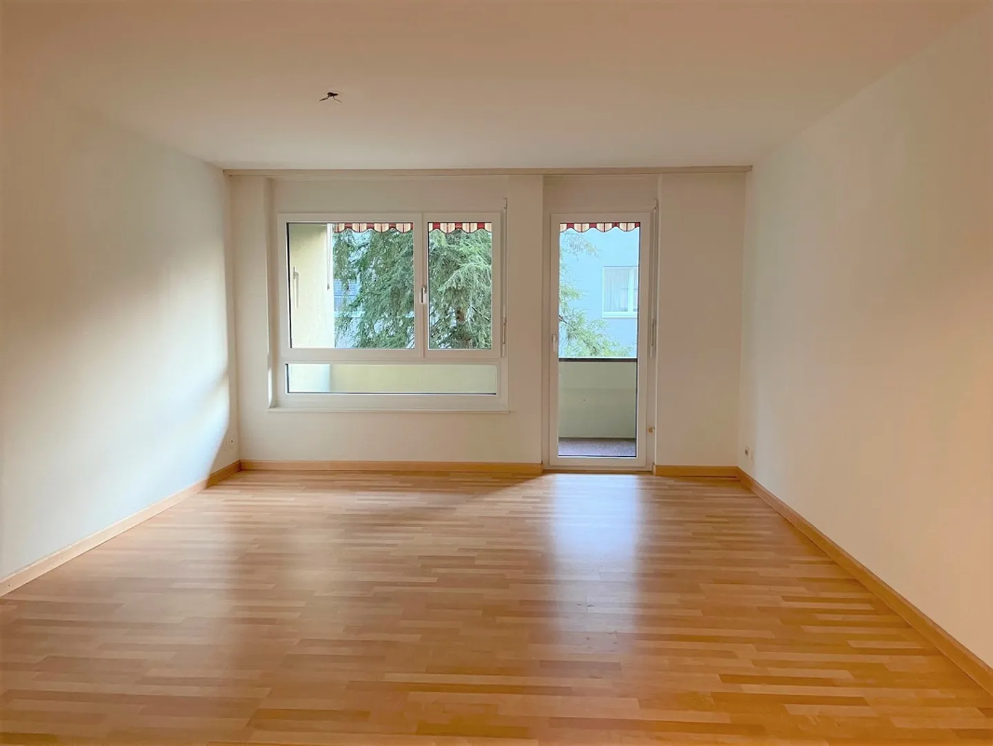 Appartamento accogliente di 4,5 stanze con vista sul verde - Foto 3 di 10