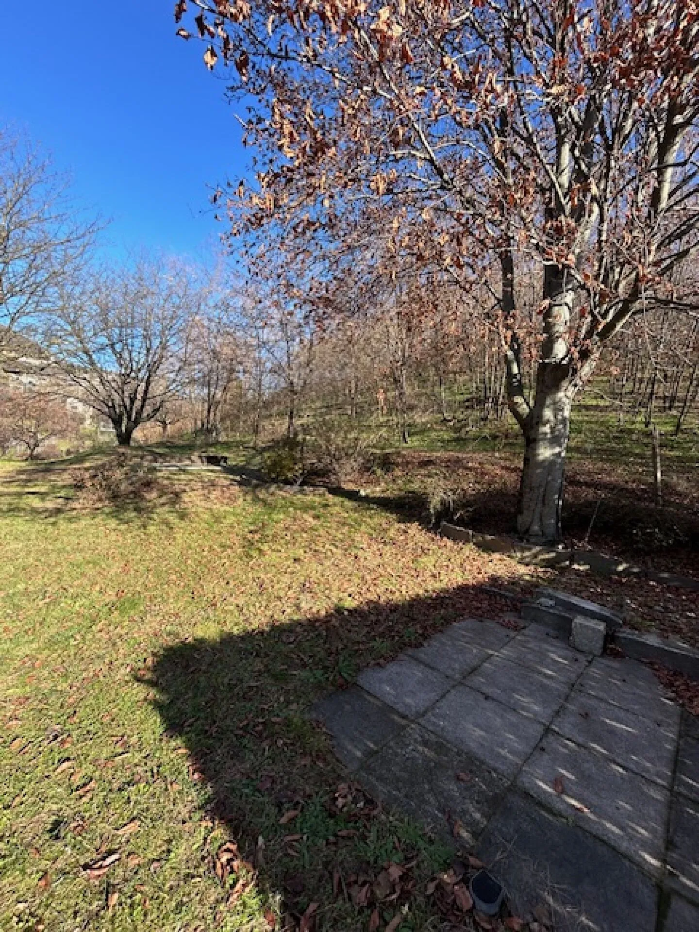 3.5-ZIMMER-WOHNUNG MIT EXKLUSIVEM GARTEN - Foto 13 von 13