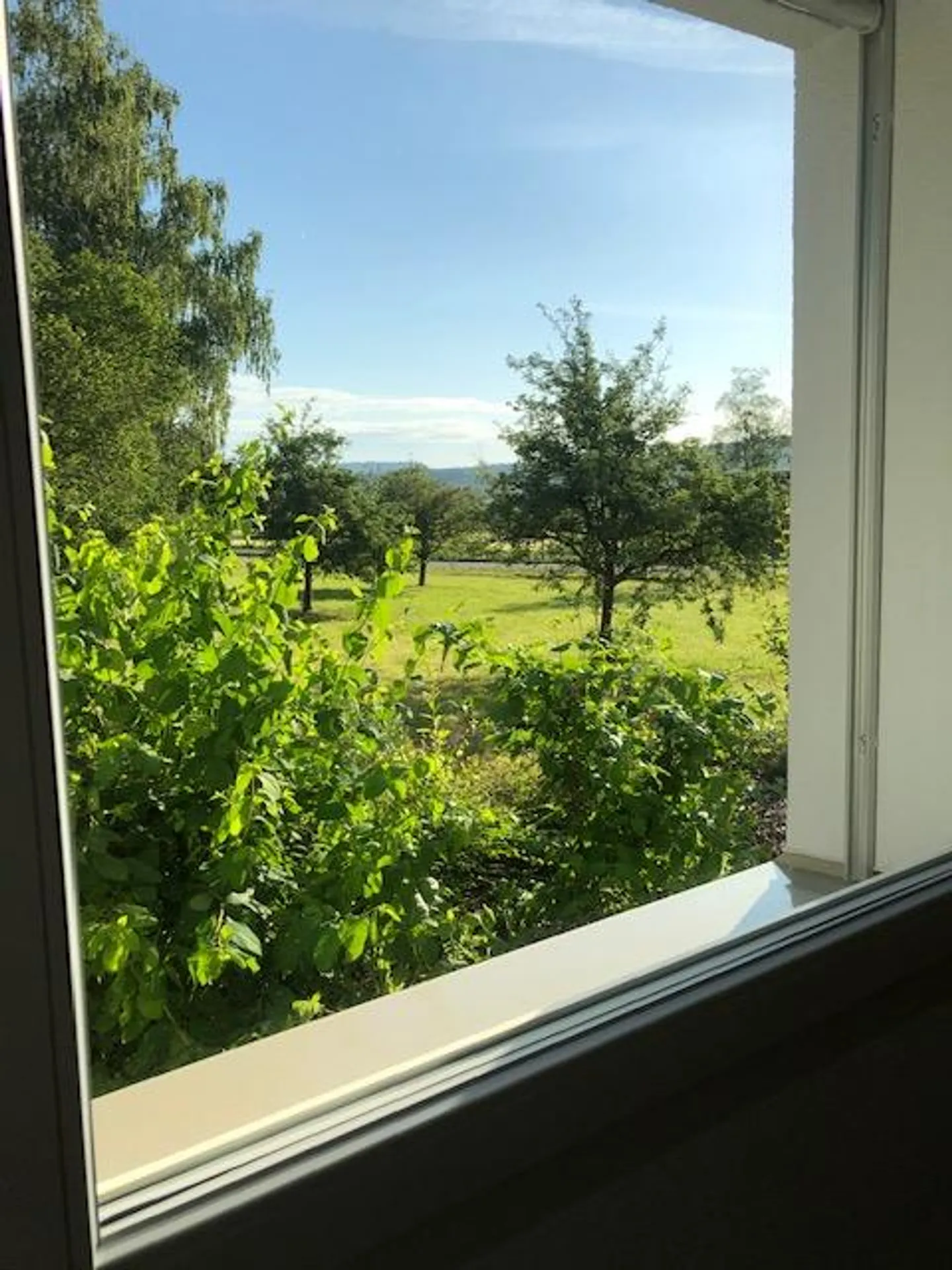 Wohnglück auf den ersten Blick! - Foto 6 von 7