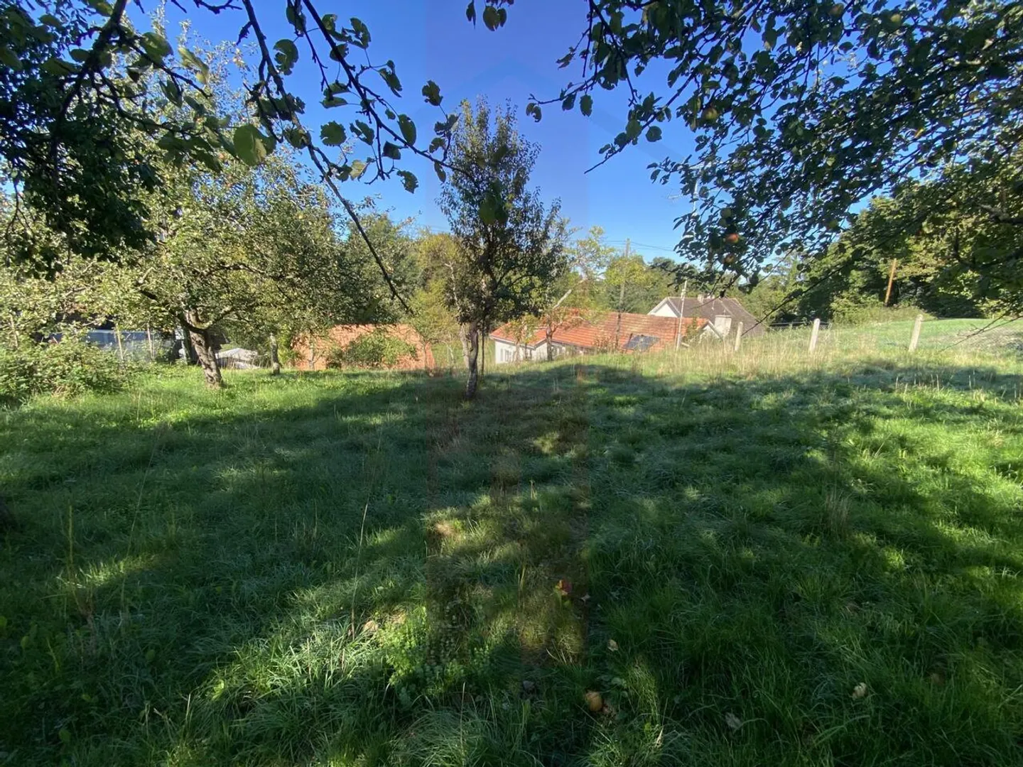 Charmante maison avec grand terrain en Ajoie - Photo 4 sur 20