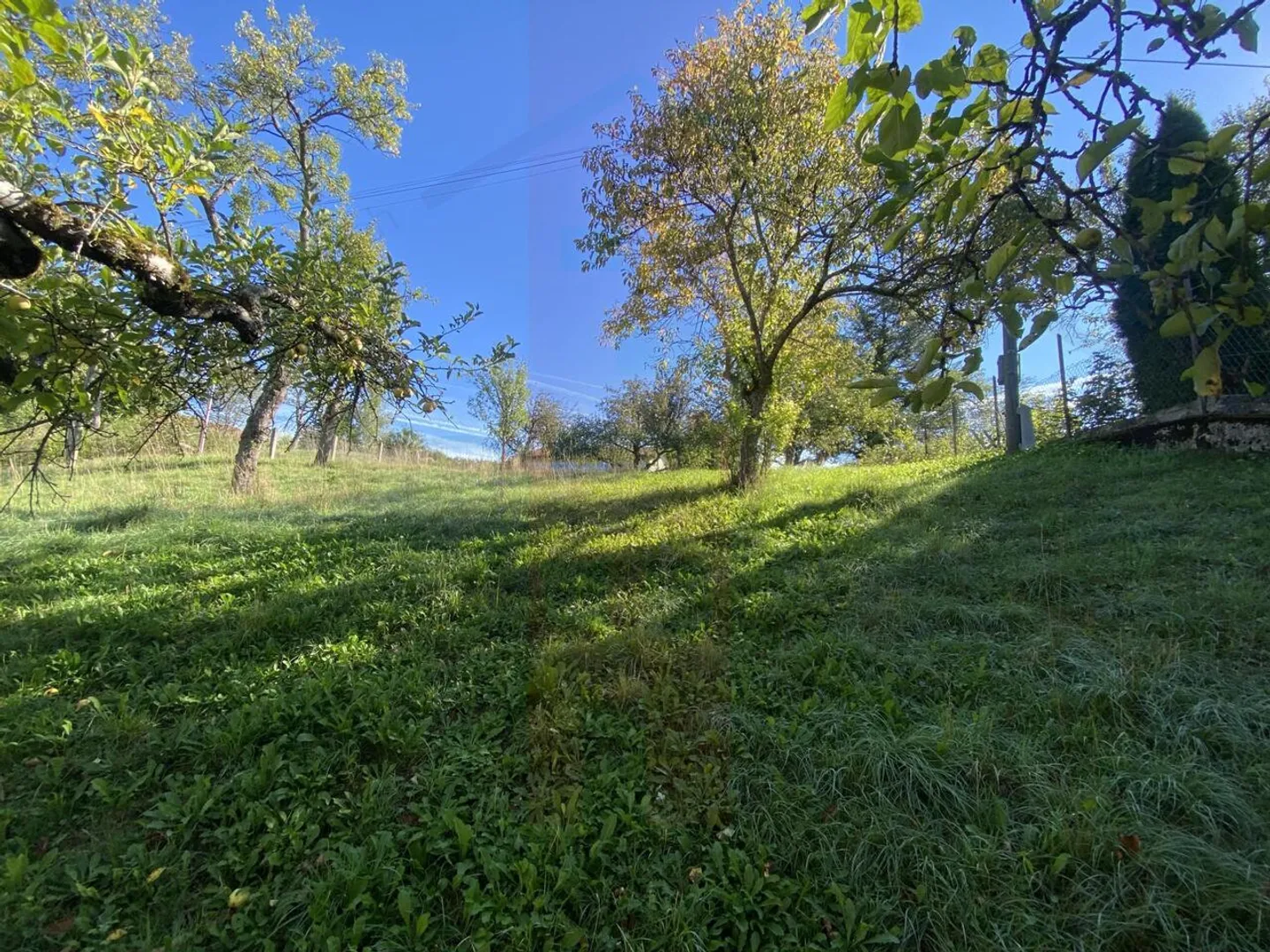 Charmante maison avec grand terrain en Ajoie - Photo 5 sur 20