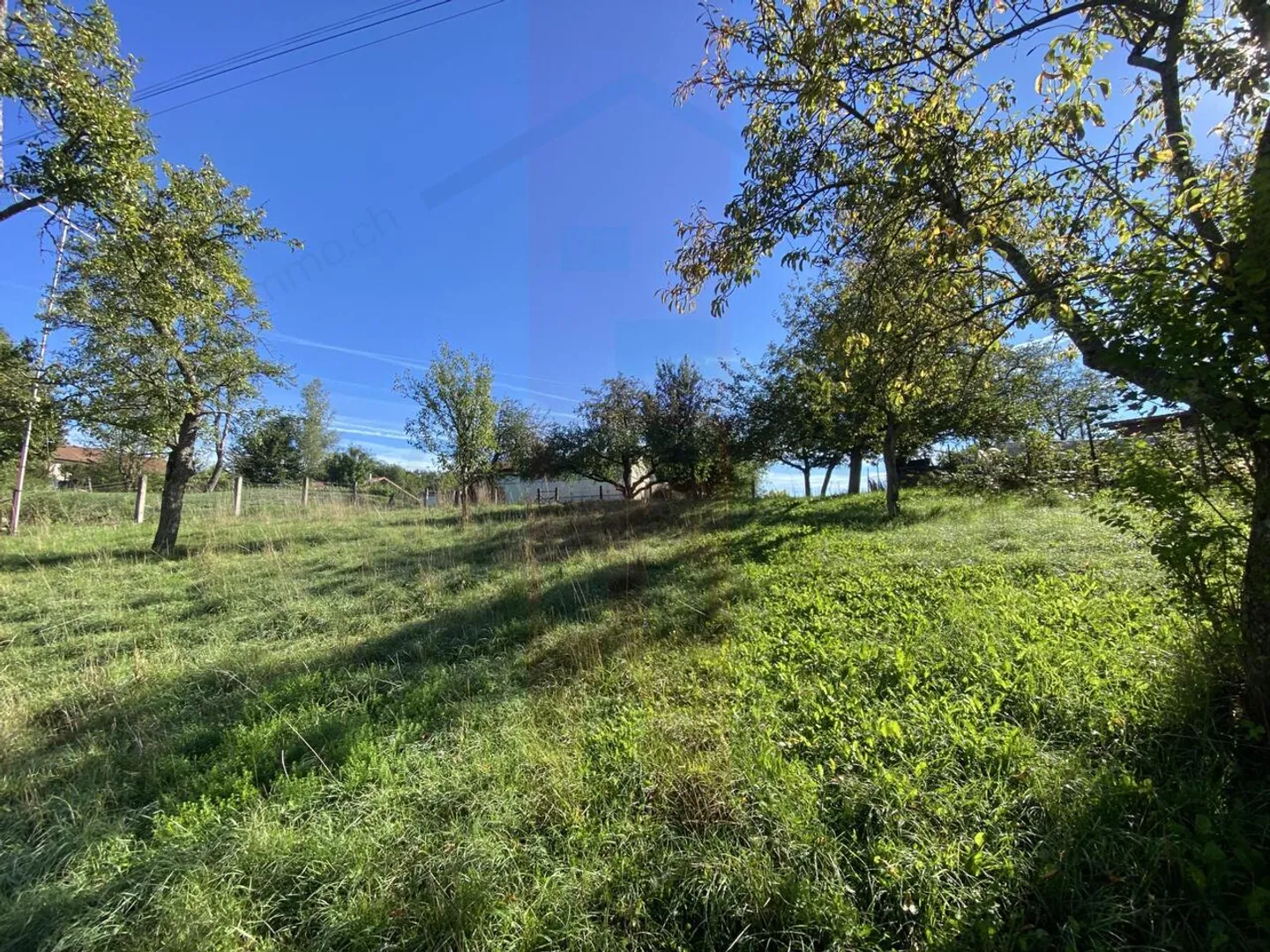 Charmante maison avec grand terrain en Ajoie - Photo 10 sur 20