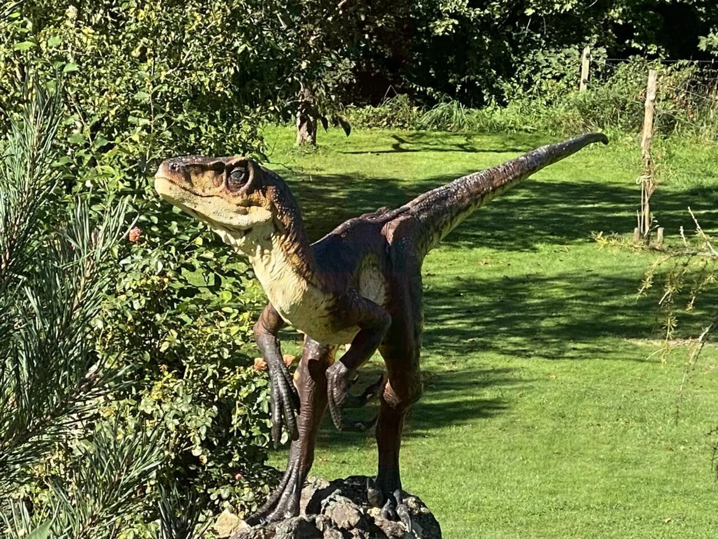 Charmante maison avec grand terrain en Ajoie - Photo 2 sur 20