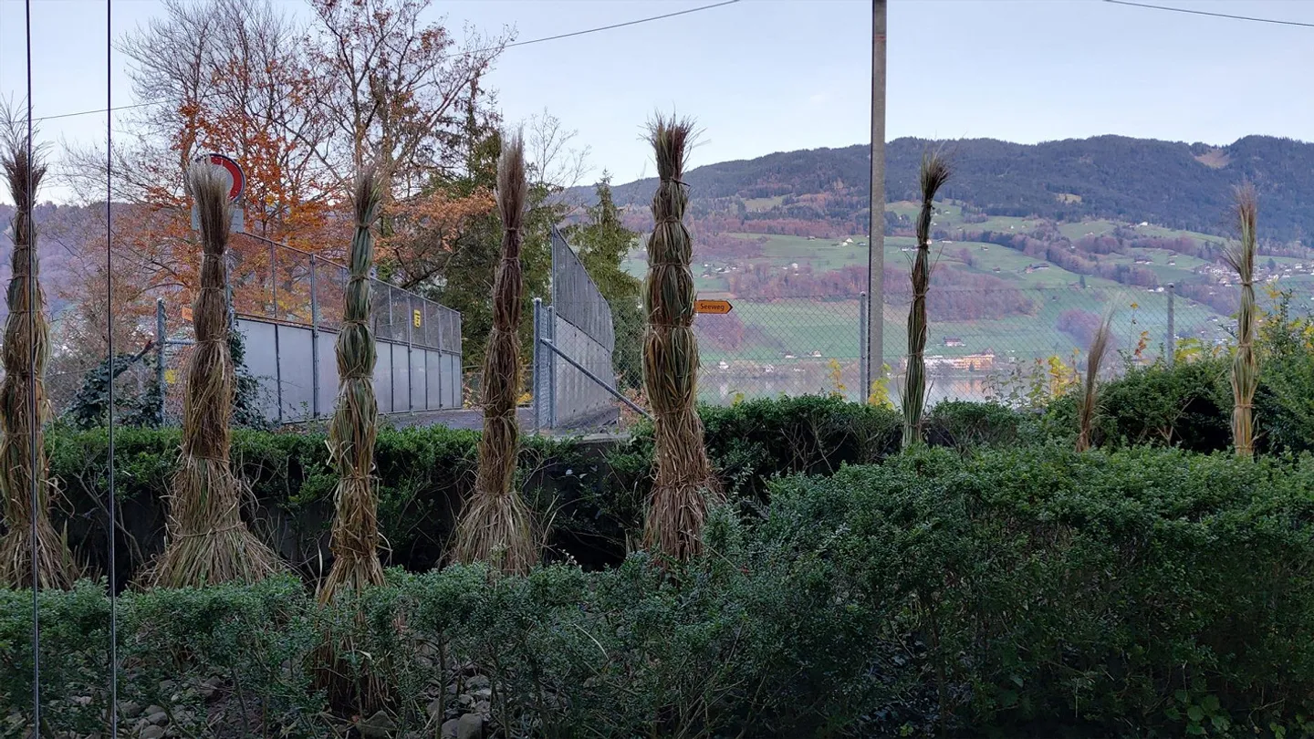 Appartamento 3.5 - 4 locali con area balneare - Foto 3 di 14