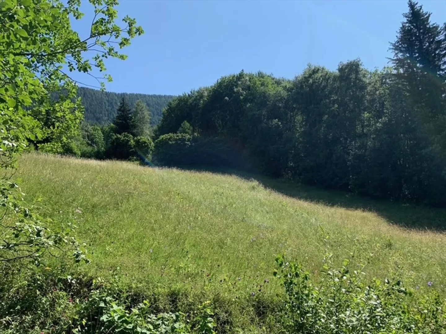 Terreno edificabile Mayen de l'Arbarey - Saxon - Foto 2 di 3