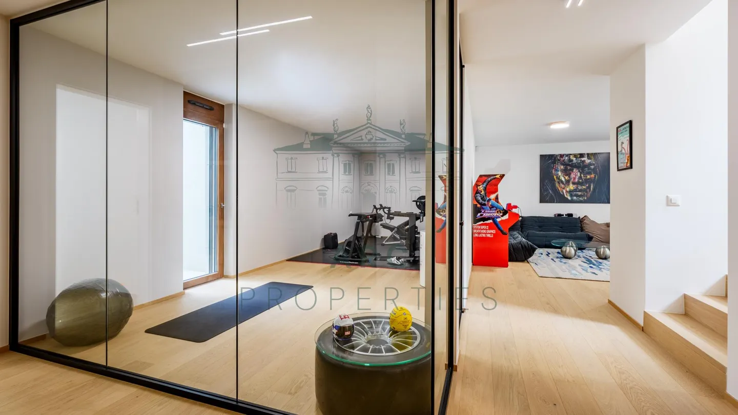 Contemporary Villa in Corsier - Photo 5 of 5