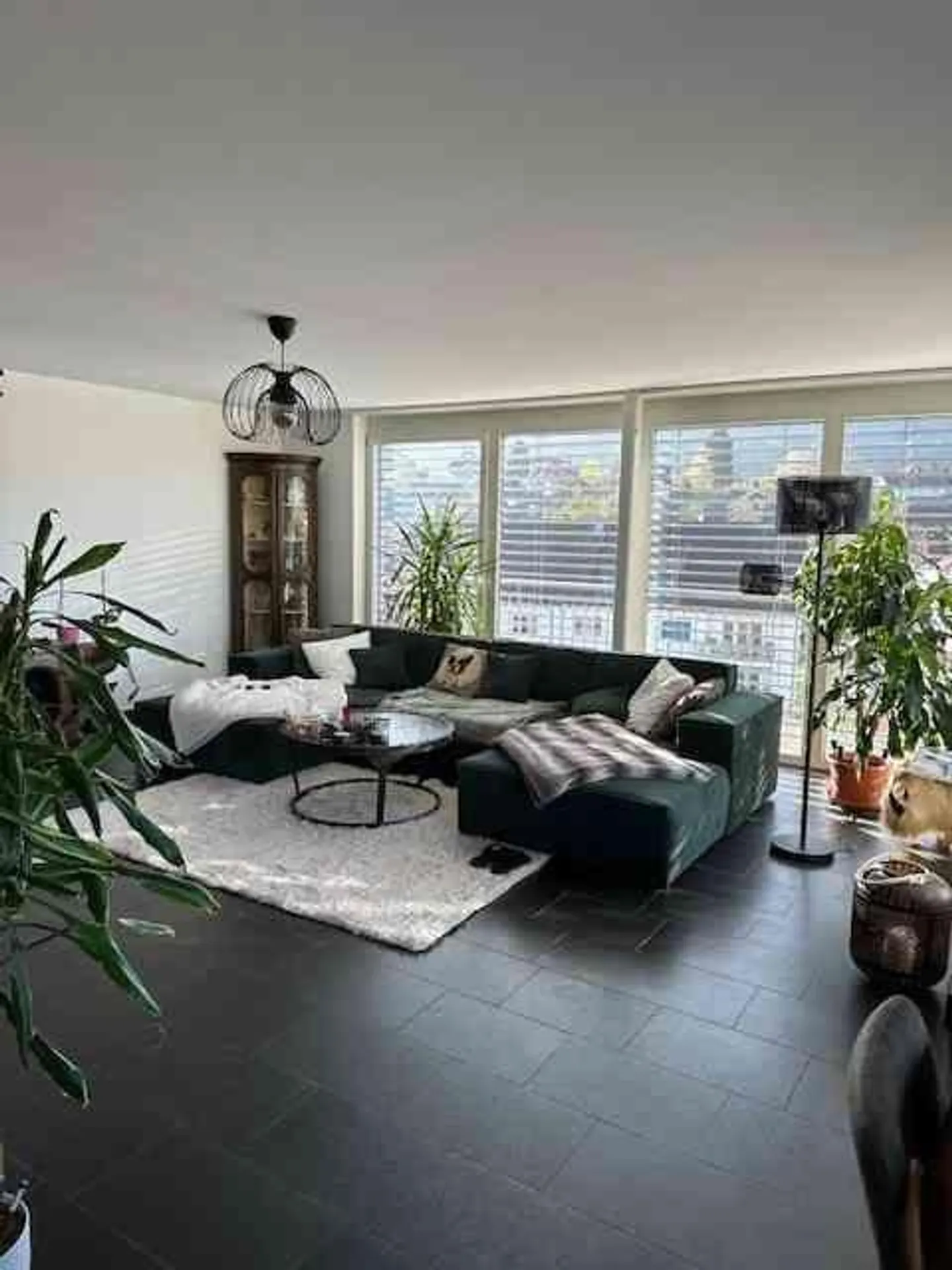 Appartamento spazioso di 5,5 stanze cerca nuovo inquilino - Foto 1 di 13