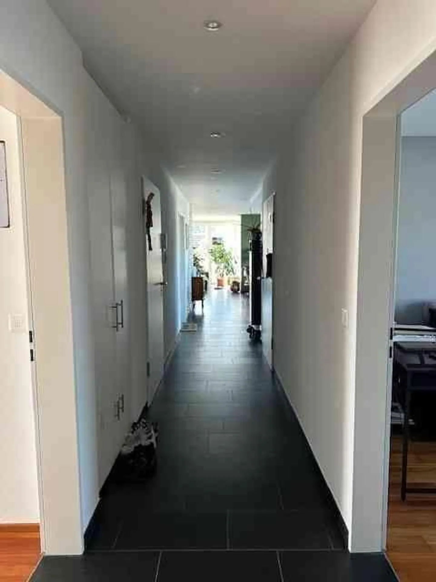 Appartamento spazioso di 5,5 stanze cerca nuovo inquilino - Foto 11 di 13