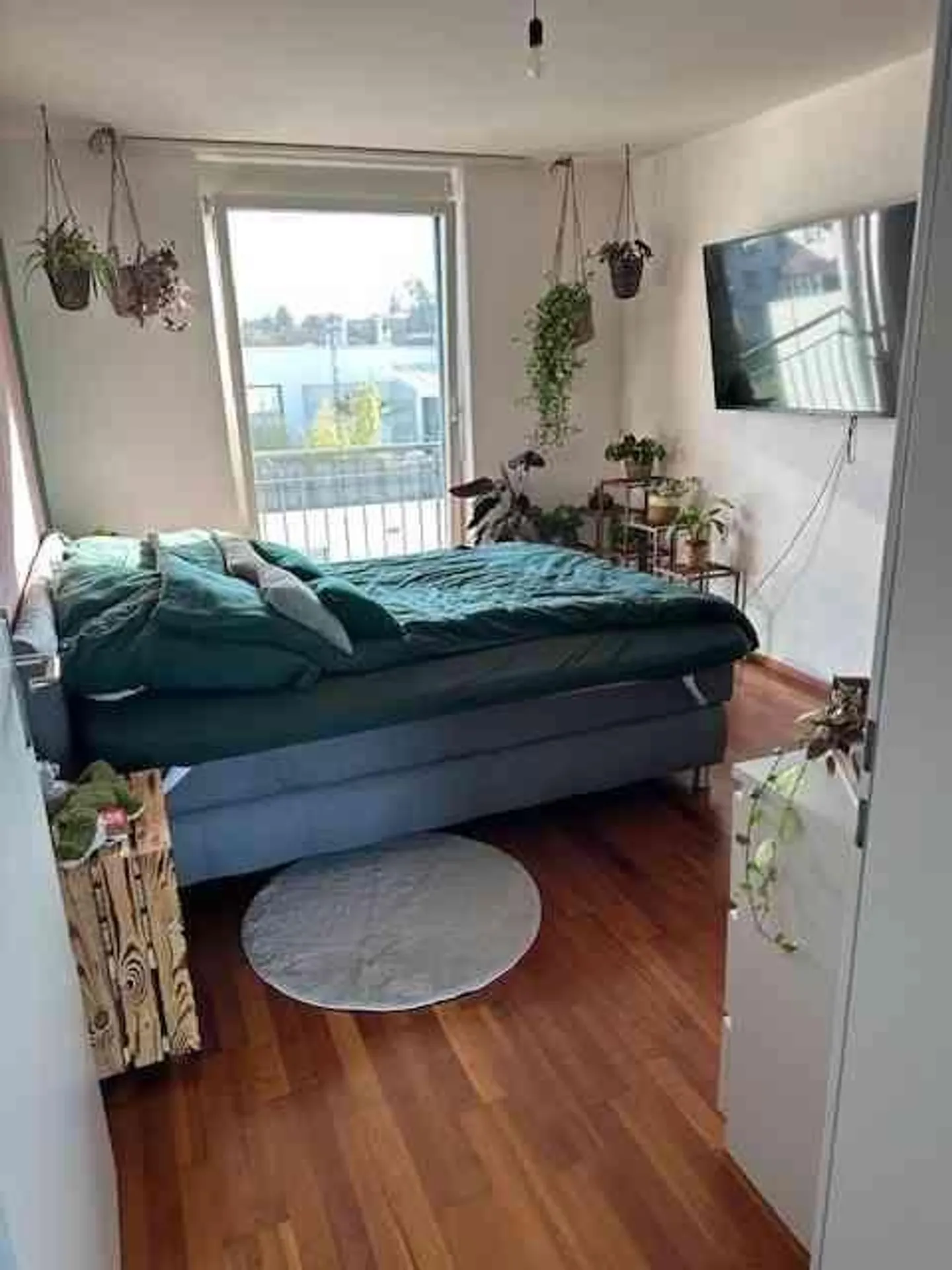 Appartamento spazioso di 5,5 stanze cerca nuovo inquilino - Foto 5 di 13