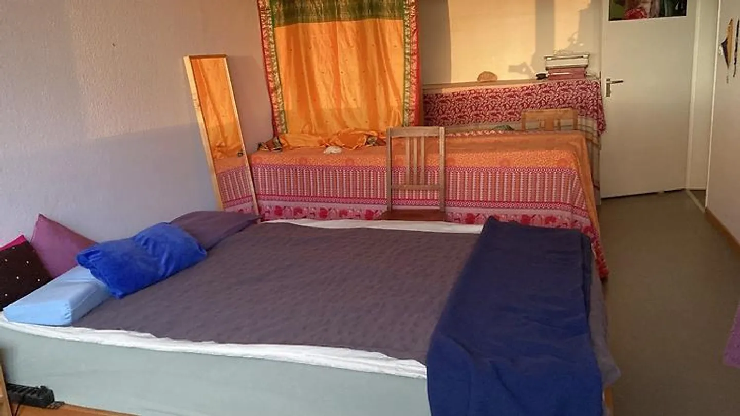 2½ ROOM APARTMENT IN ZURICH - DISTRICT 4 HARD, FURNISHED, TEMPORARY - Photo 7 of 10