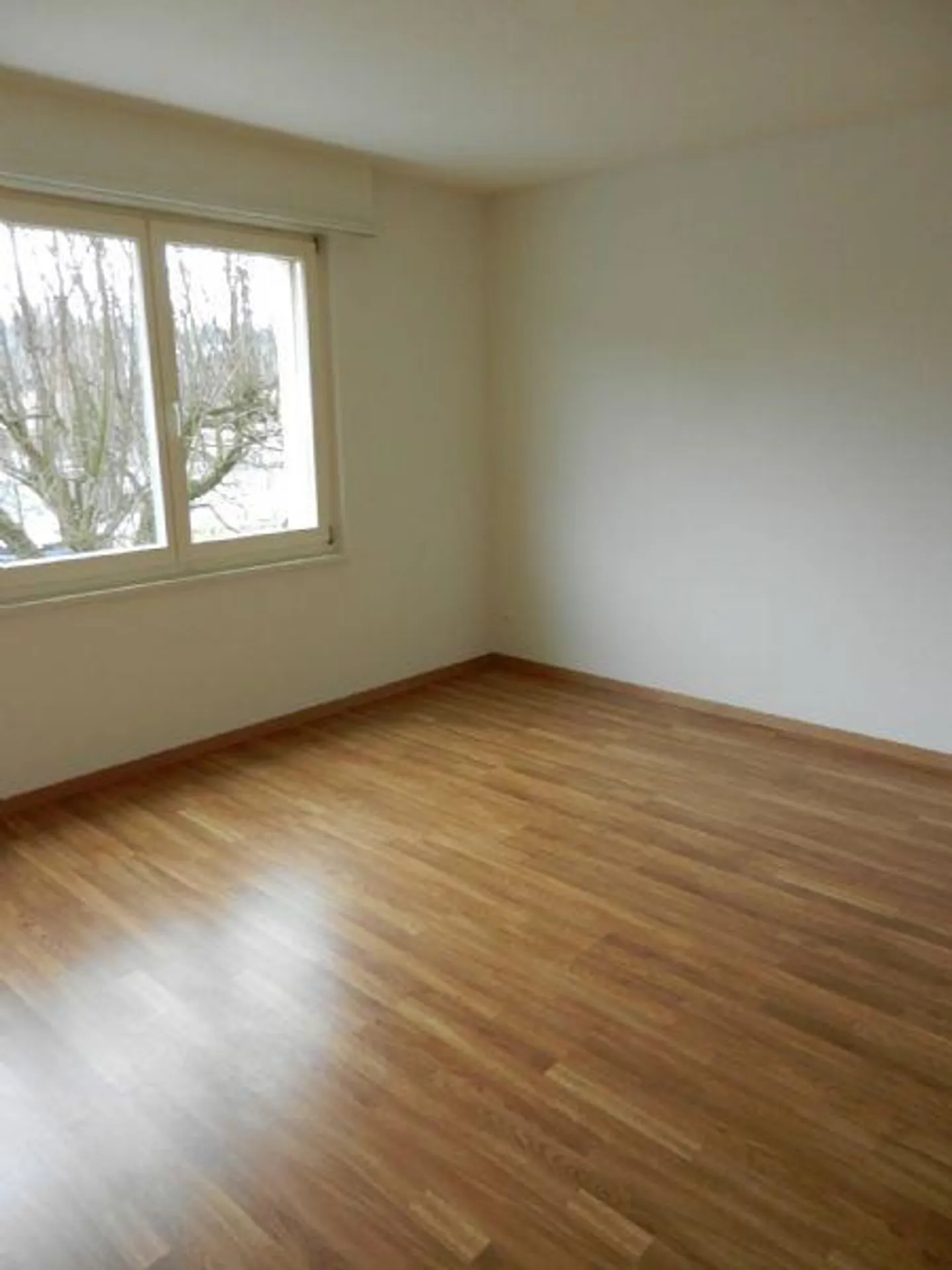 VERDE | CENTRALE | TRANQUILLO - Foto 5 di 5