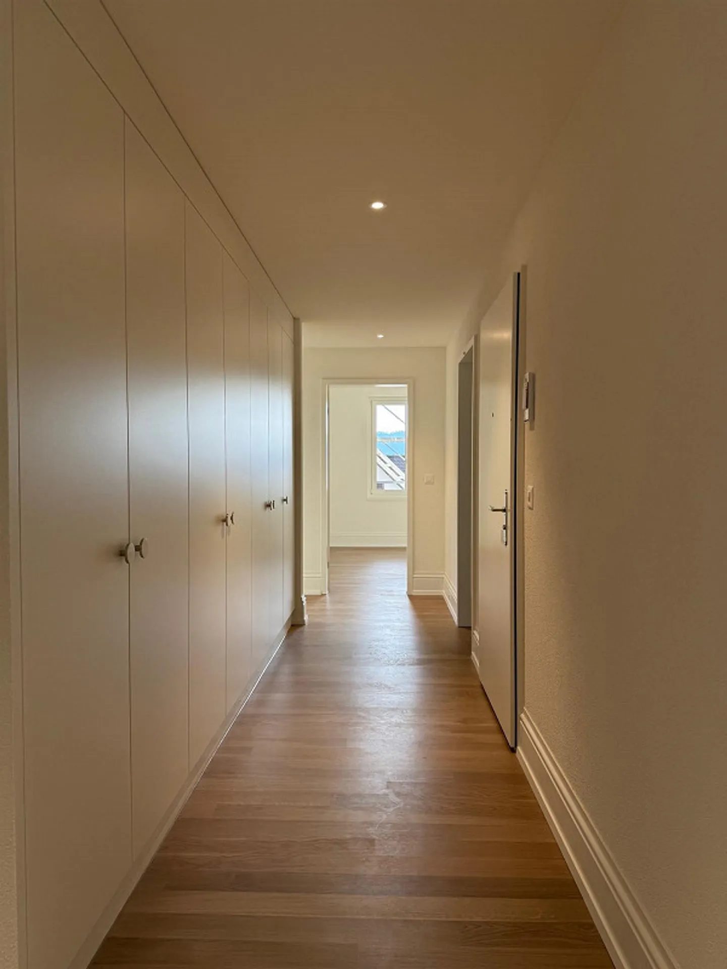 Vivre avec vue sur la montagne locale de Zurich - Photo 3 sur 9