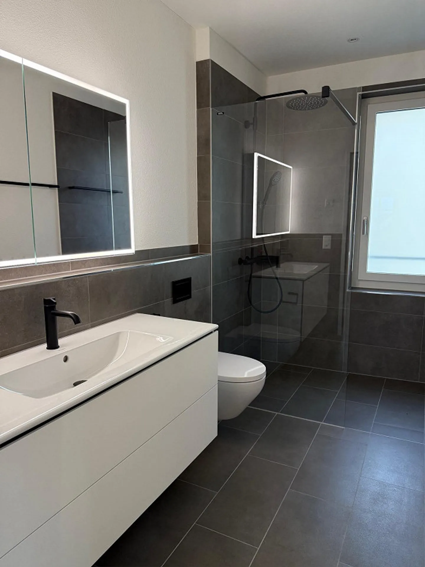 Vivre avec vue sur la montagne locale de Zurich - Photo 7 sur 9