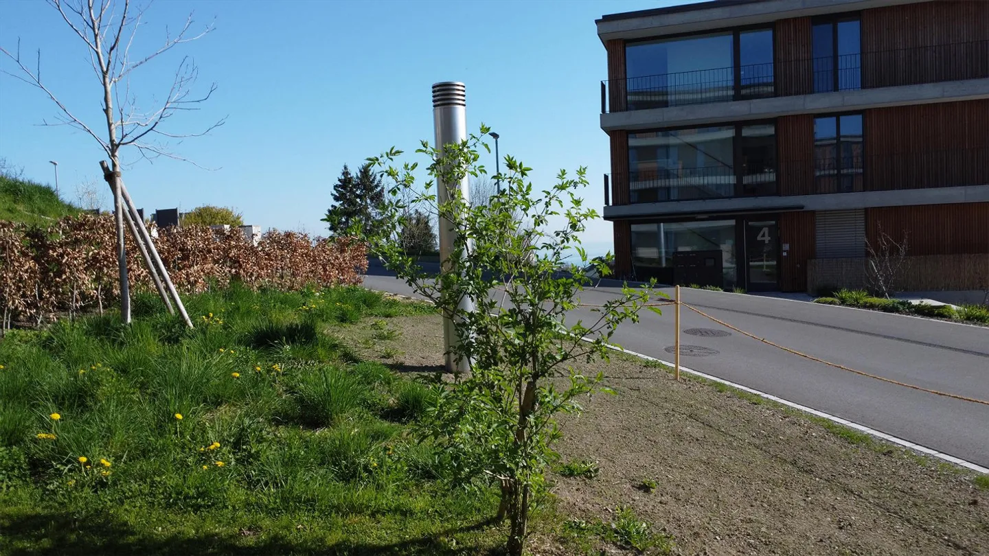 Sogno abitativo "am Rebberg 3" sopra Goldach in un quartiere residenziale tranquillo - Foto 9 di 29